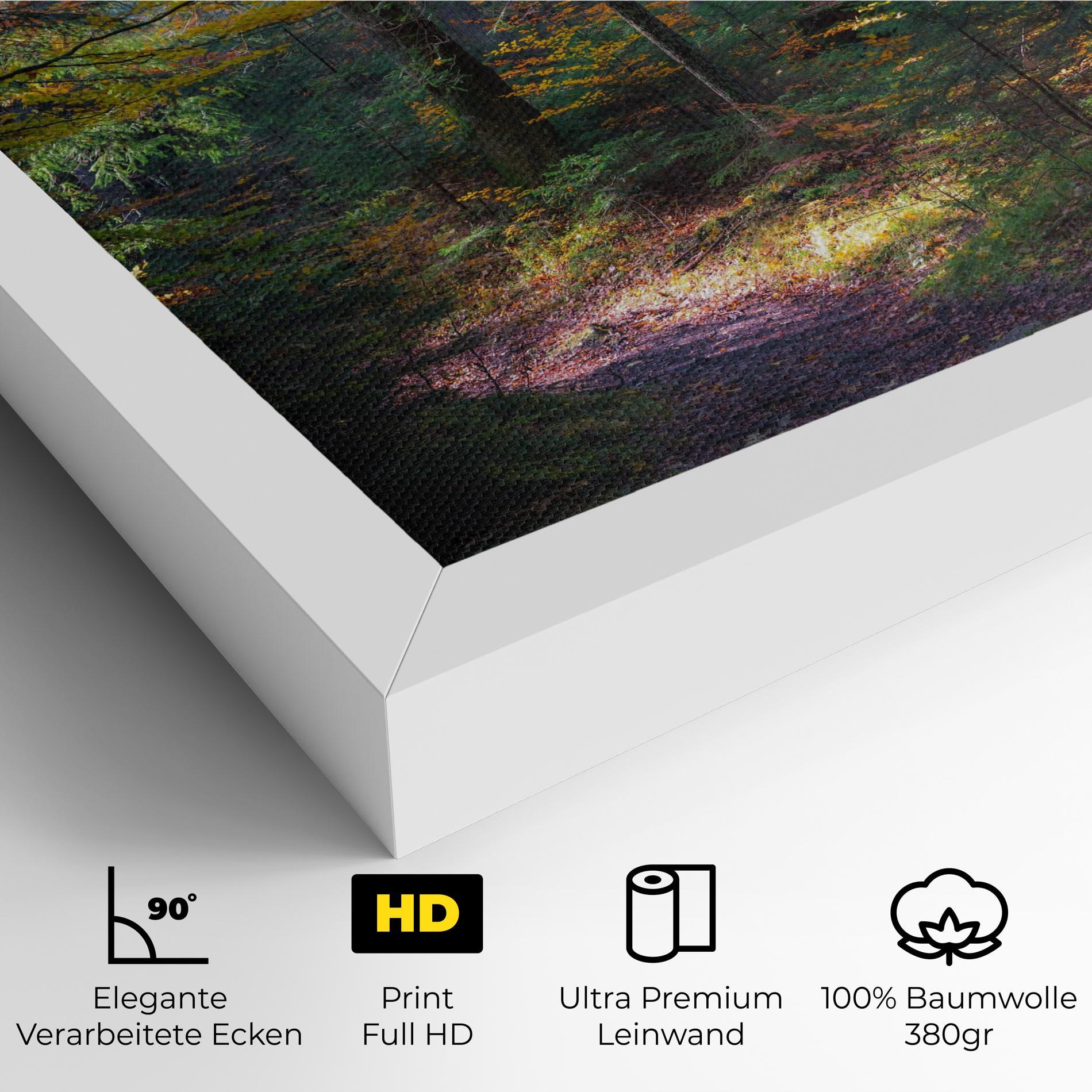 Leinwandbild Dreamy Path Dorest mockup 4