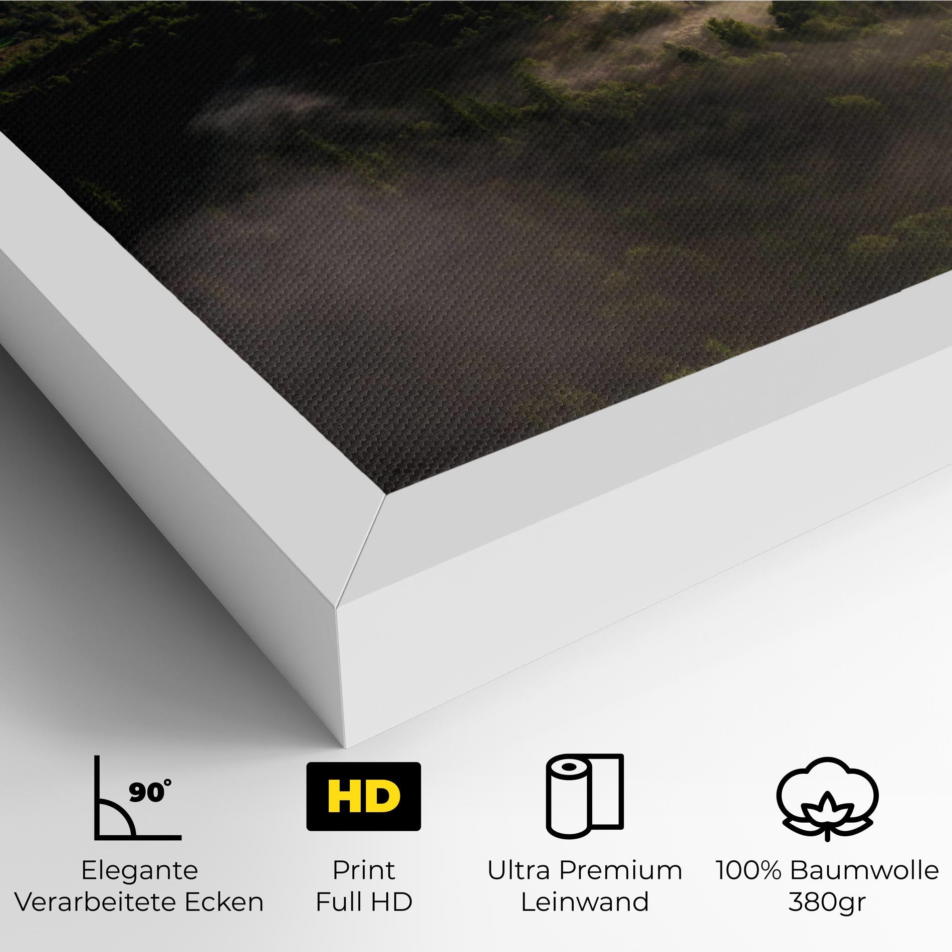 Leinwandbild Foggy Forest View mockup 4