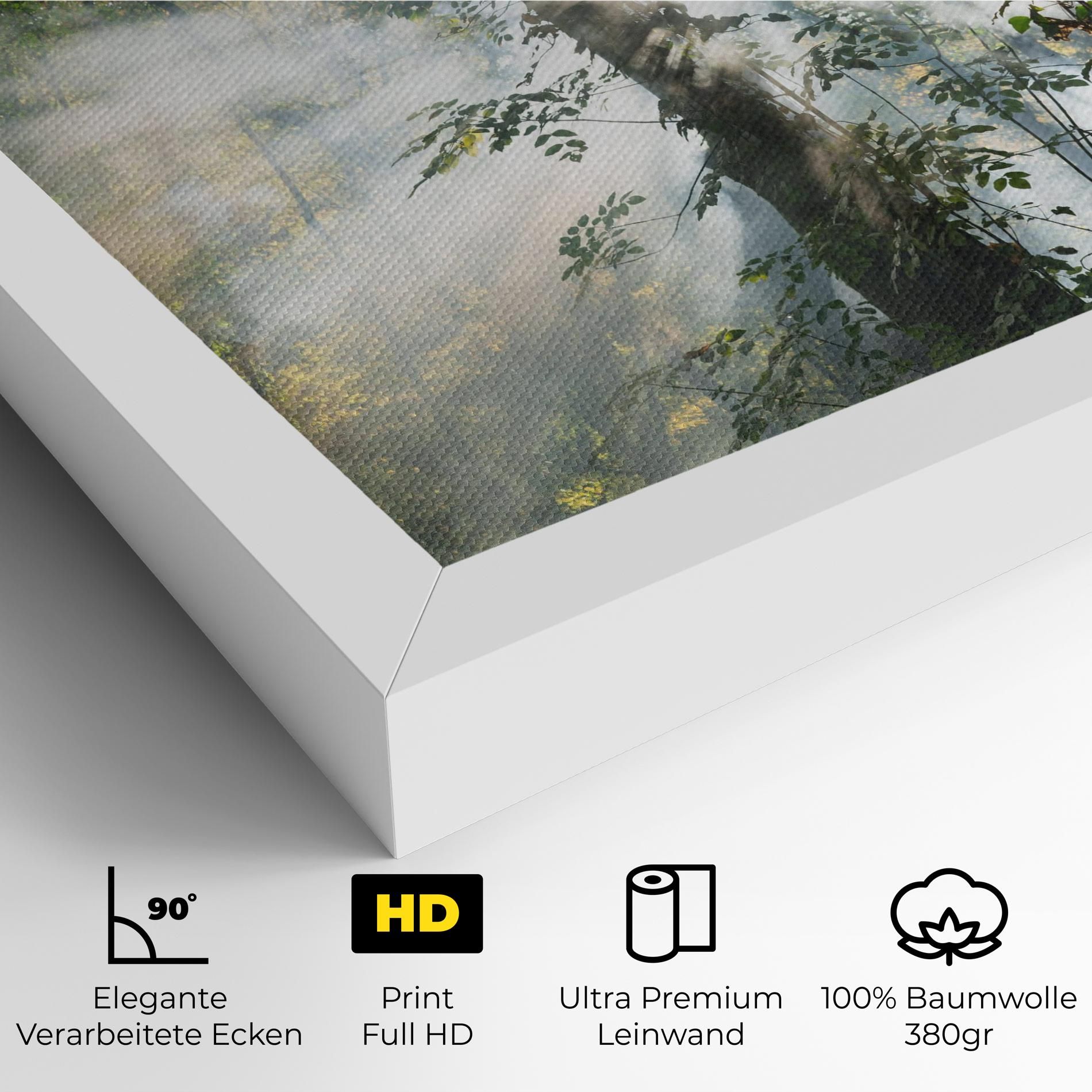 Foggy Light Forest mockup 4