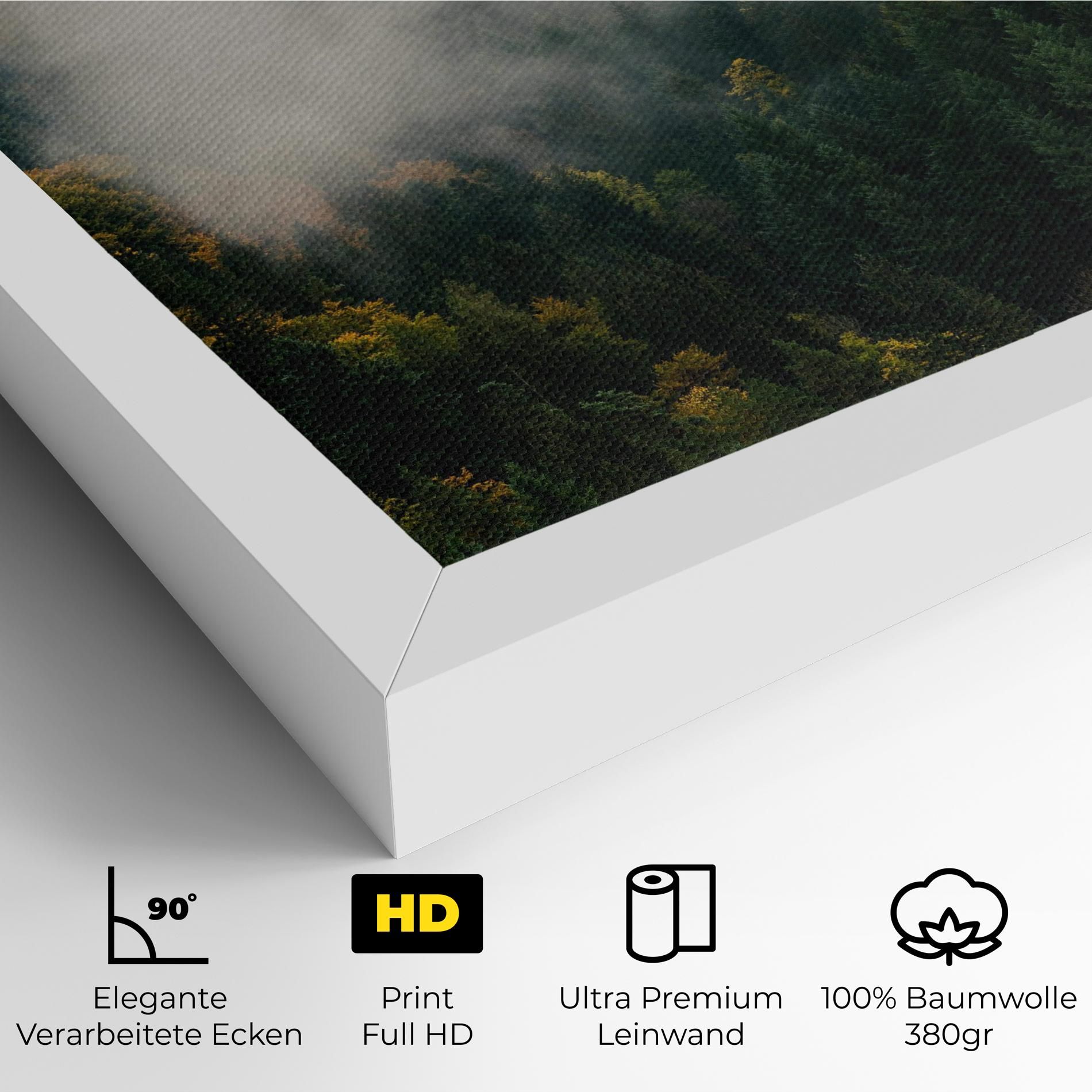 Foggy Tree Forest mockup 4