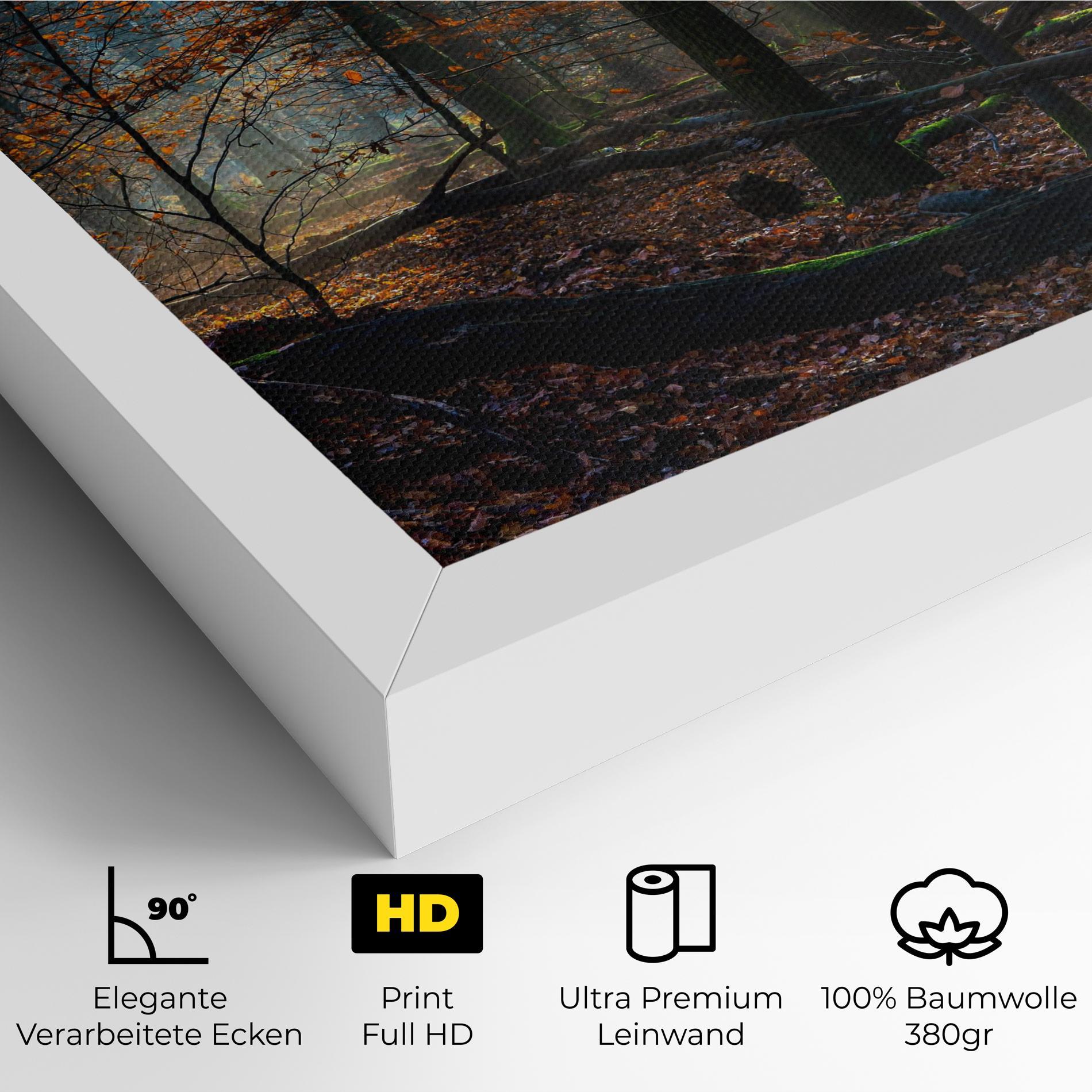 Leinwandbild Forest Autumn Day mockup 4