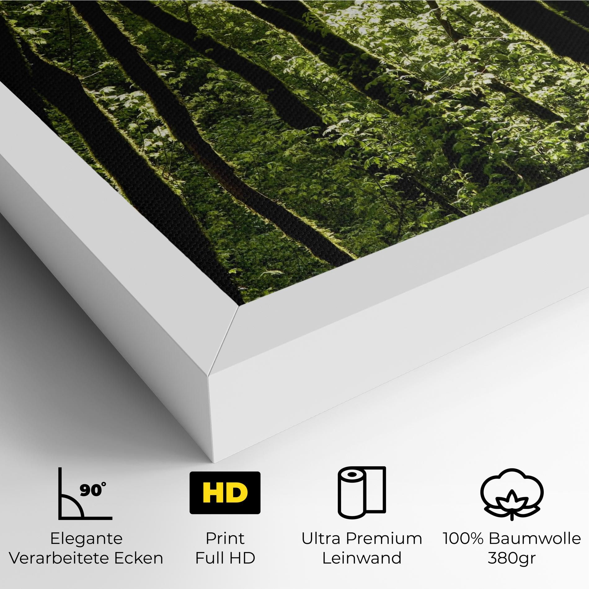 Forest Black Trees mockup 4