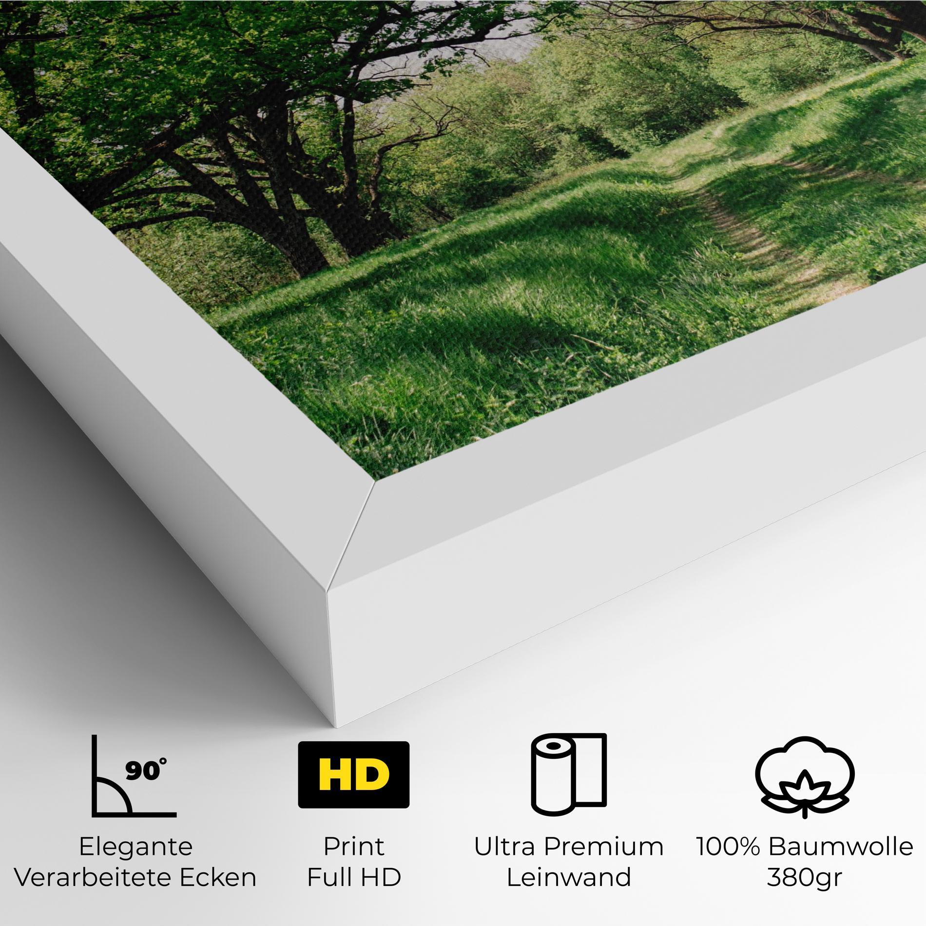 Leinwandbild Forest Green Path mockup 4