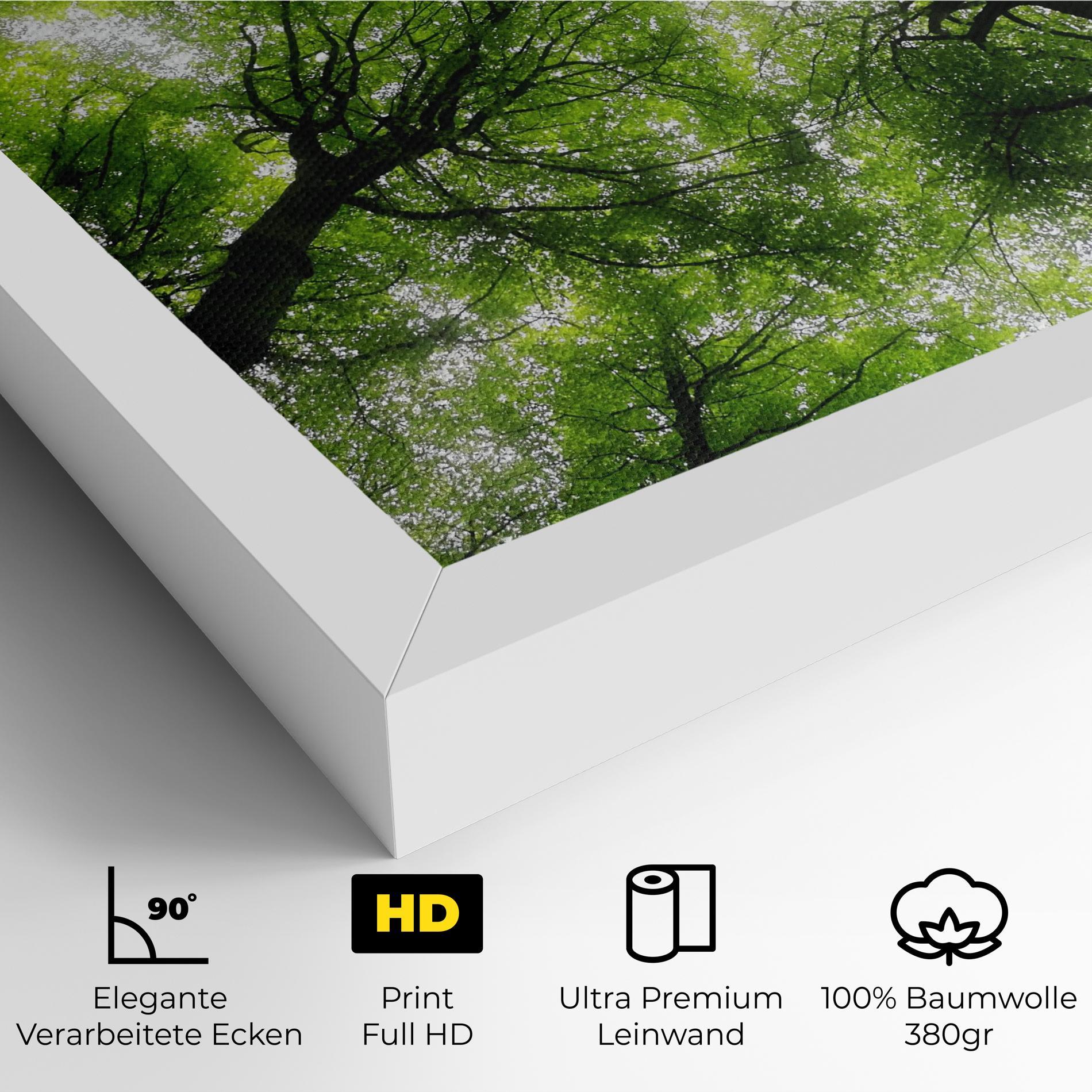 Leinwandbild Forest Green Tree mockup 4