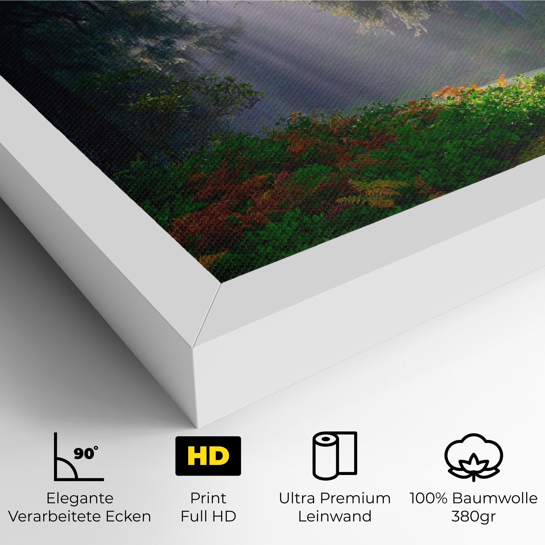 Leinwandbild Forest Light mockup 4