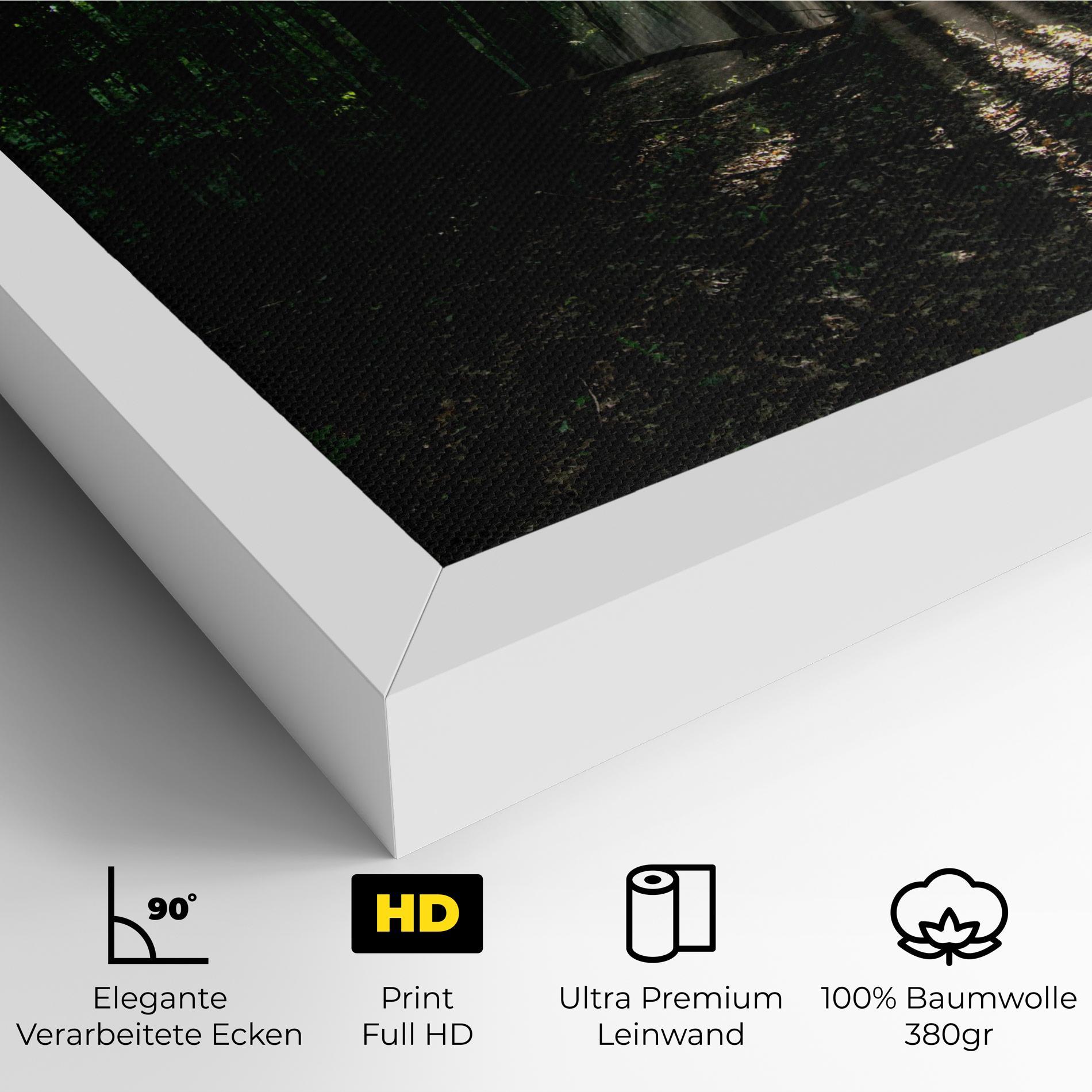 Leinwandbild Forest Sun Light mockup 4
