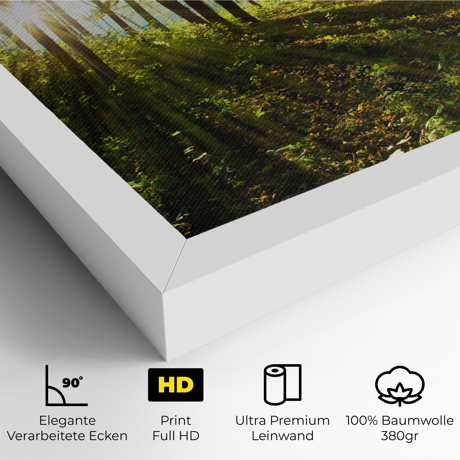 Leinwandbild Green Light Forest mockup 4