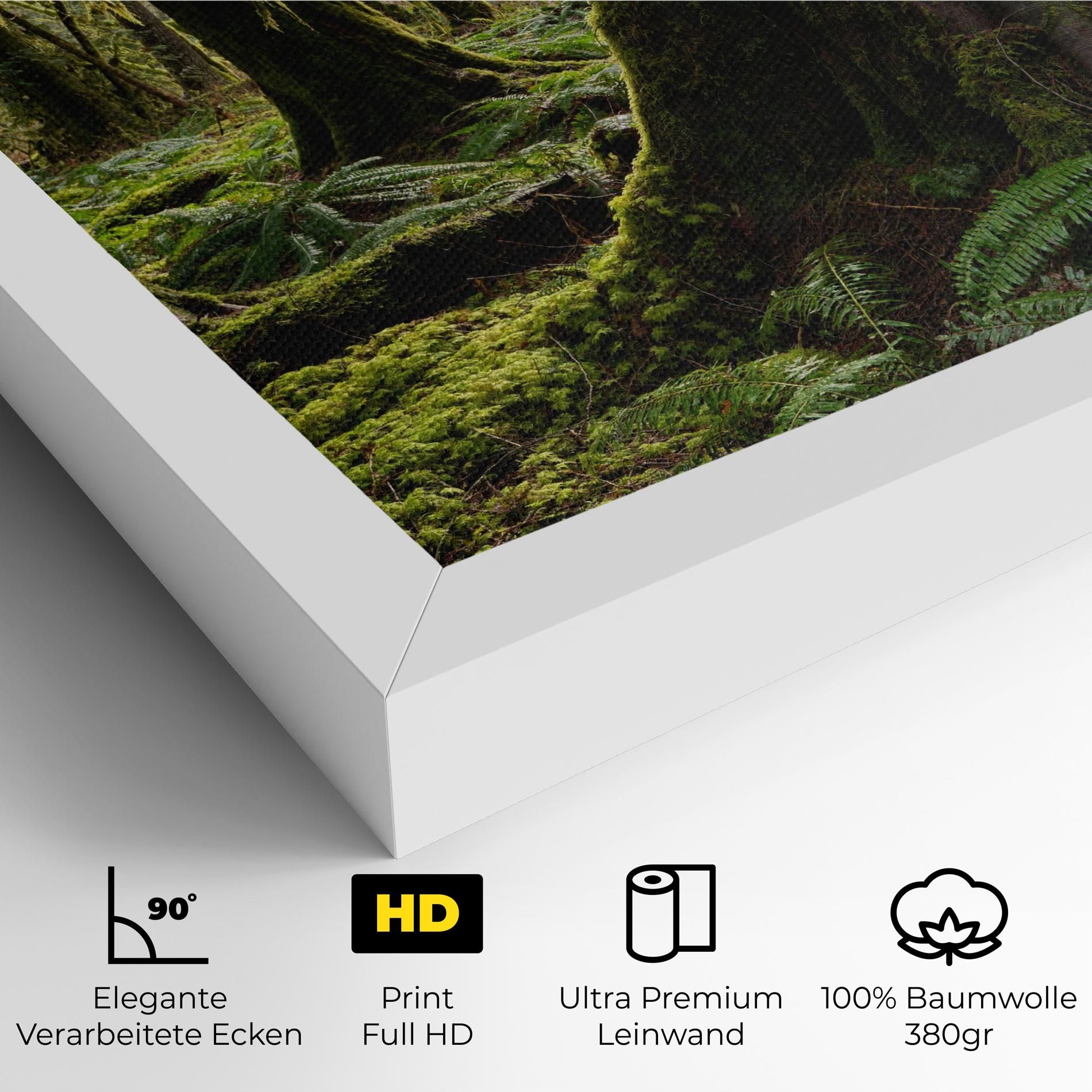 Green Moss Forest mockup 4