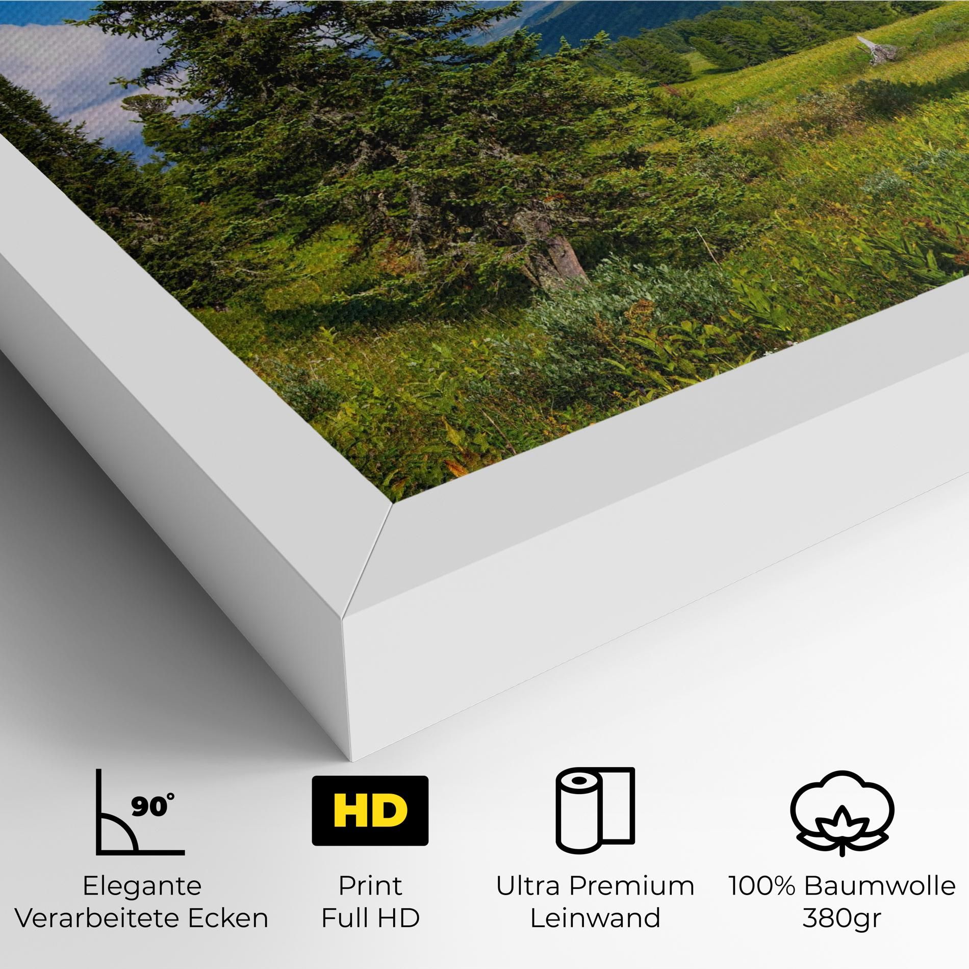Morning Sunny Field mockup 4