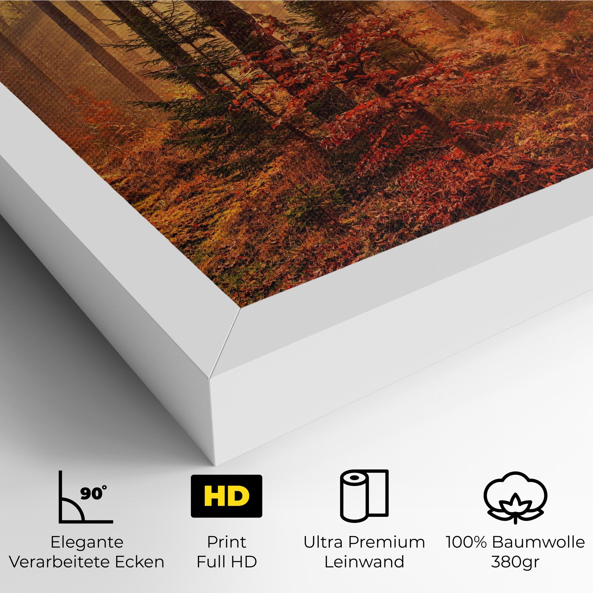 Leinwandbild Orange Light Forest mockup 4