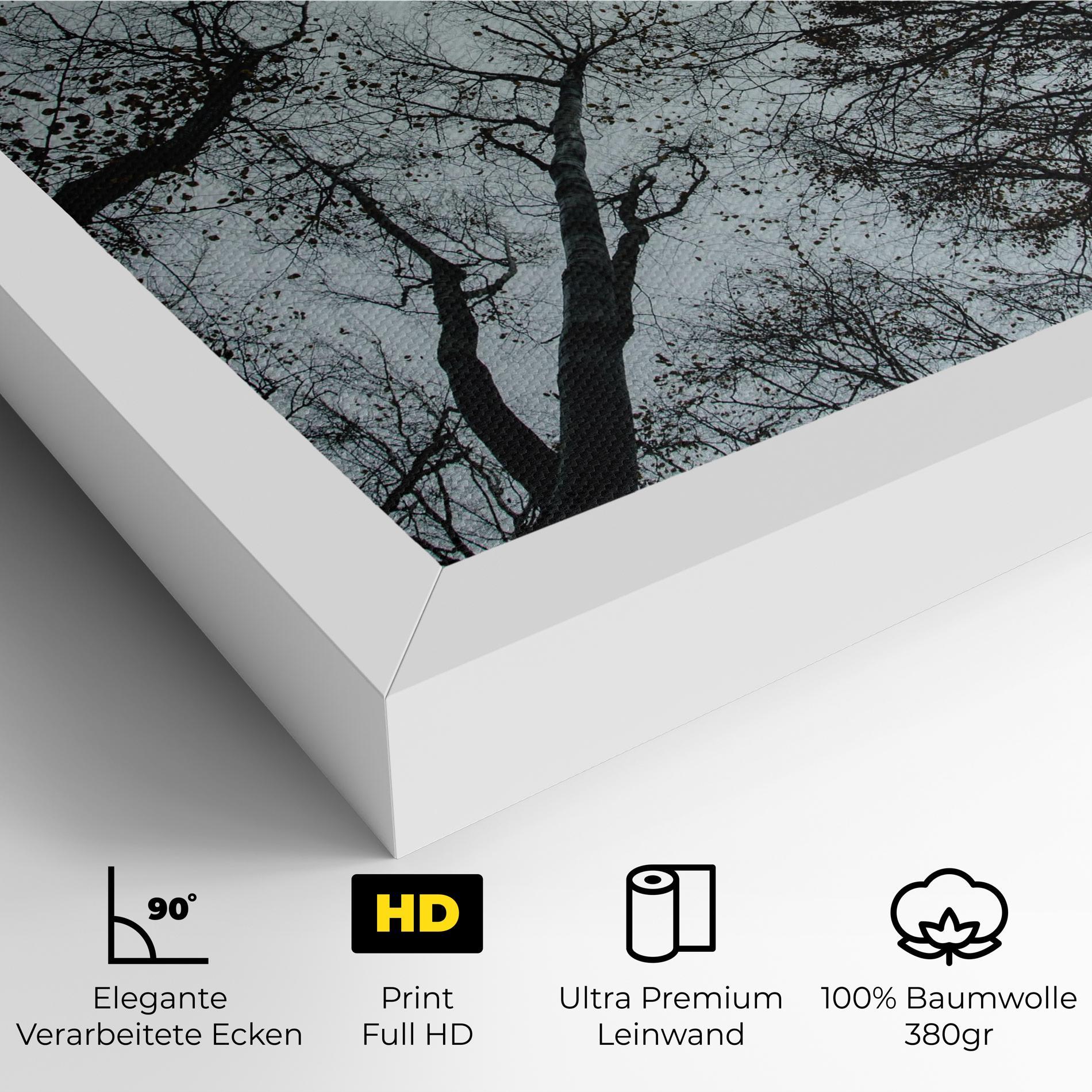 Leinwandbild Trees Touching mockup 4