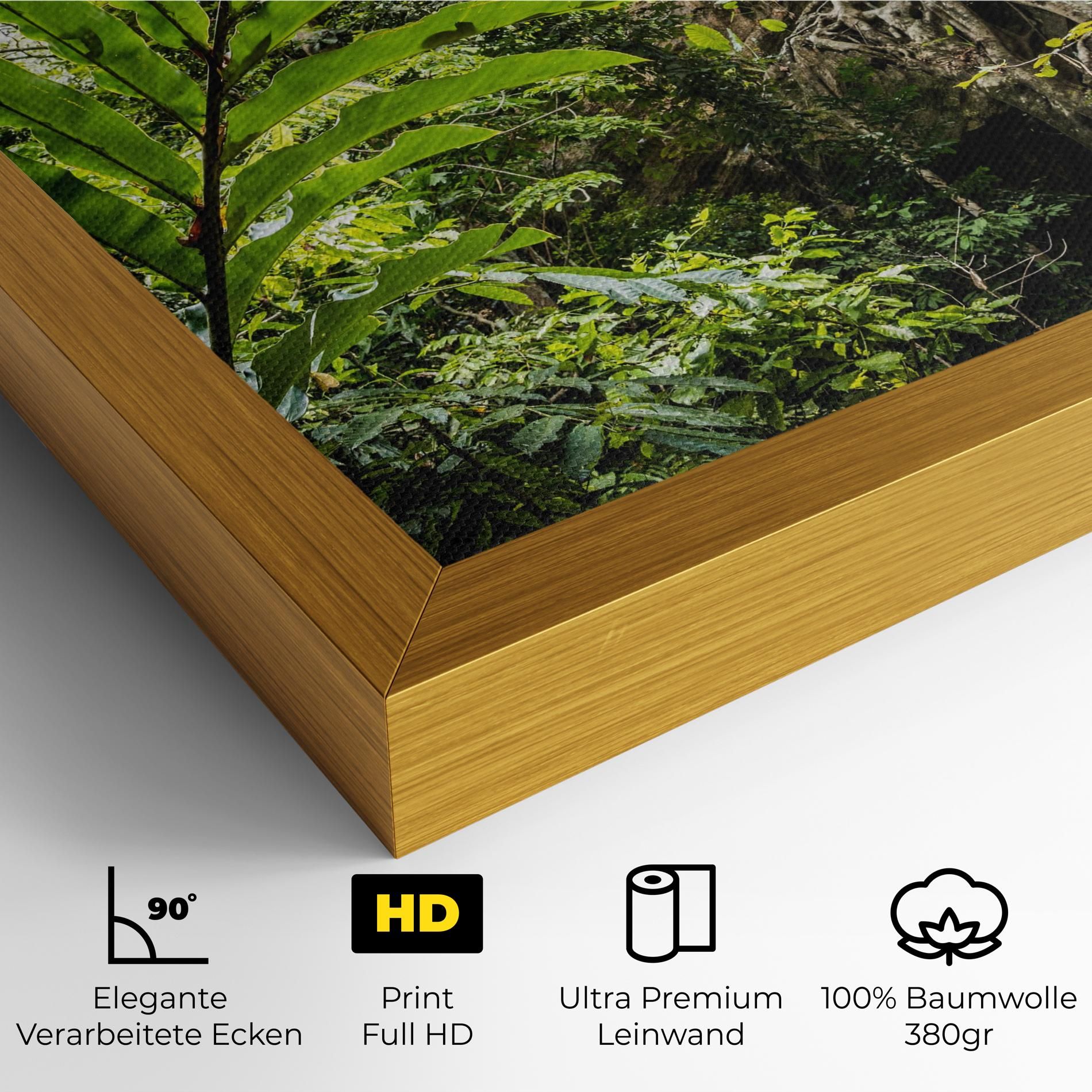 Big Leaf Forest mockup 4