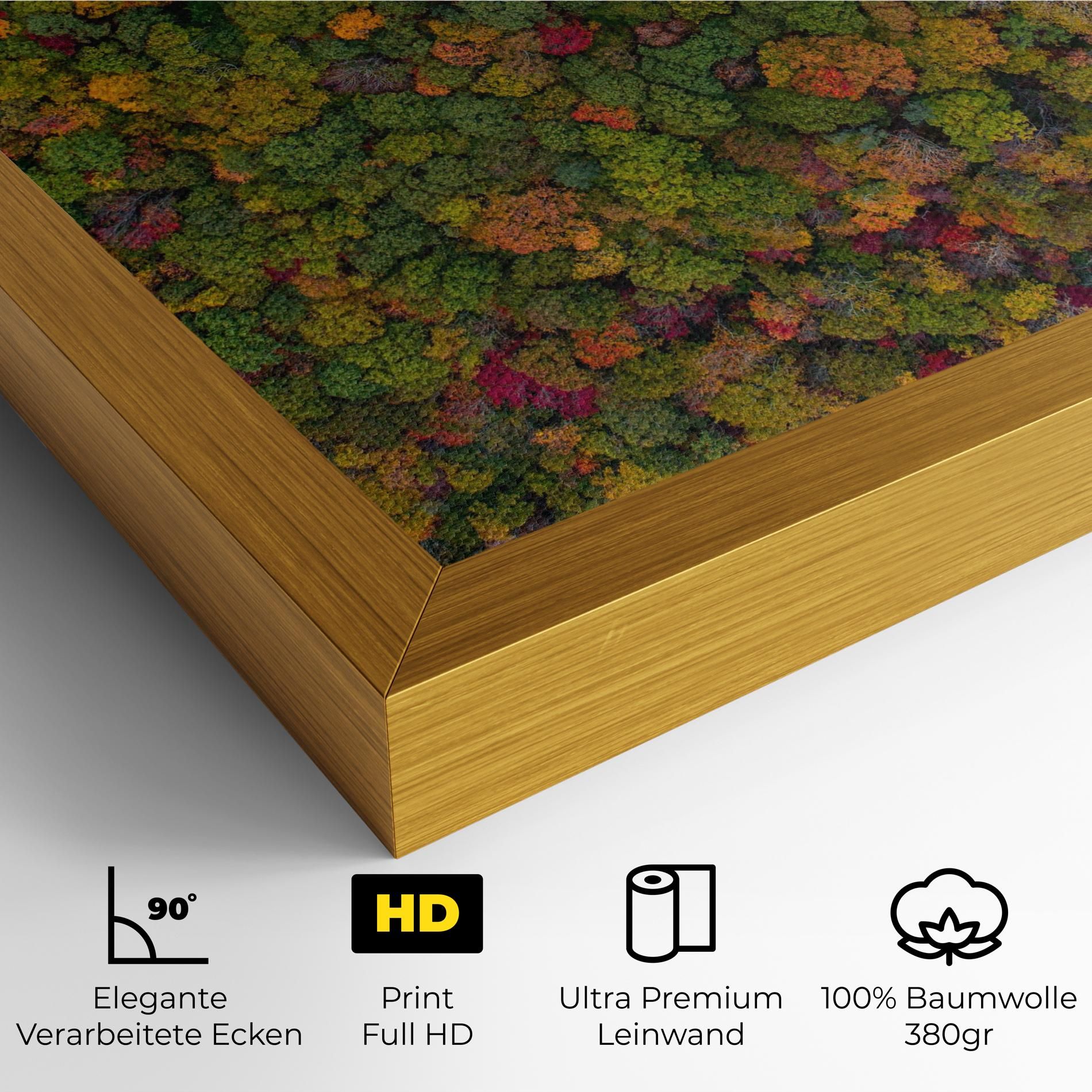 Color Mix Forest mockup 4