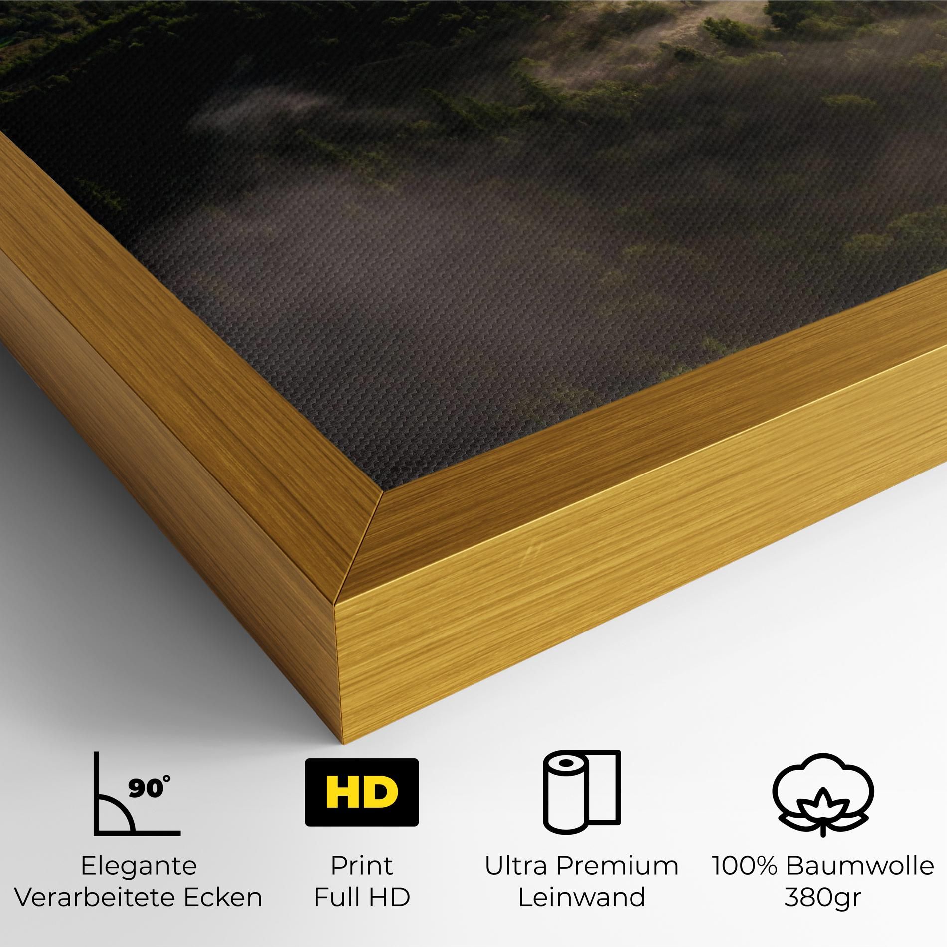 Foggy Forest View mockup 4