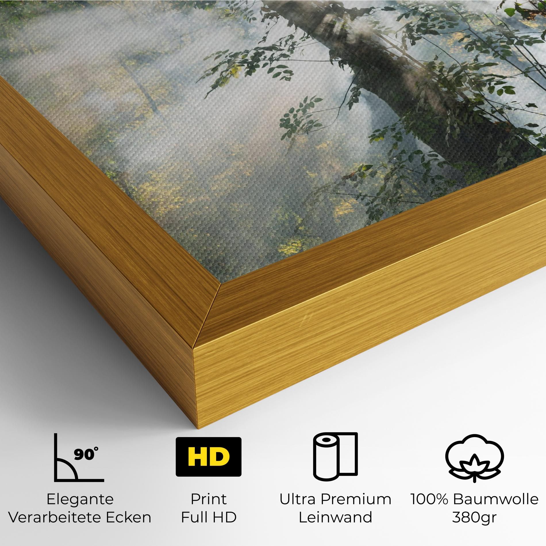 Foggy Light Forest mockup 4