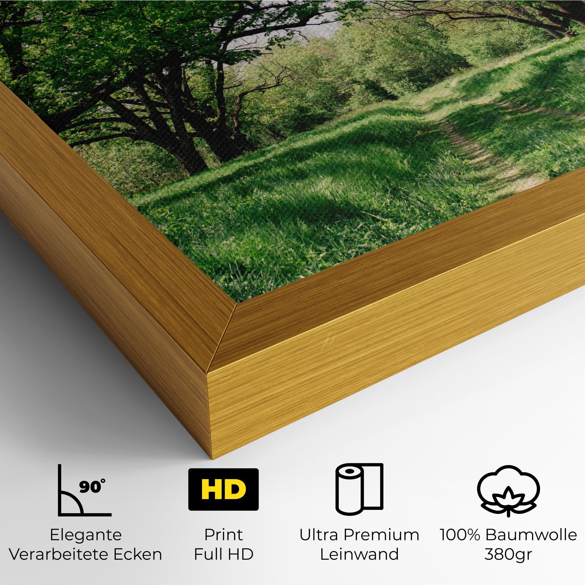 Leinwandbild Forest Green Path mockup 4
