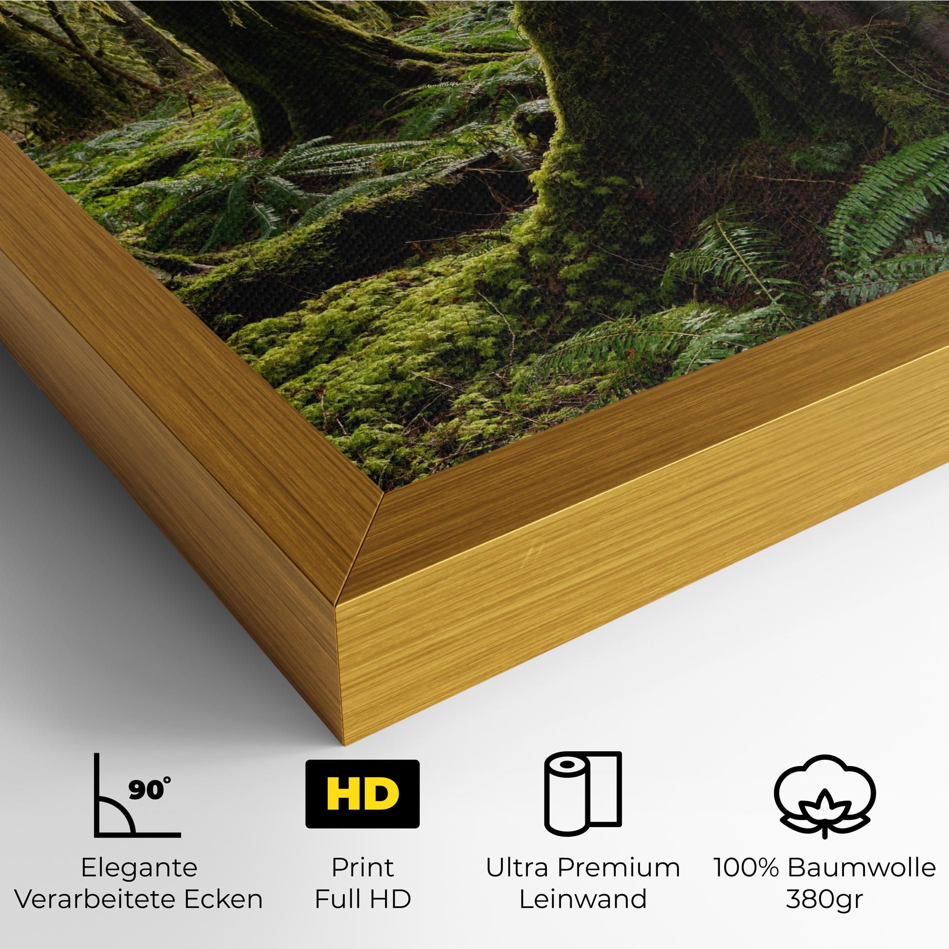 Green Moss Forest mockup 4