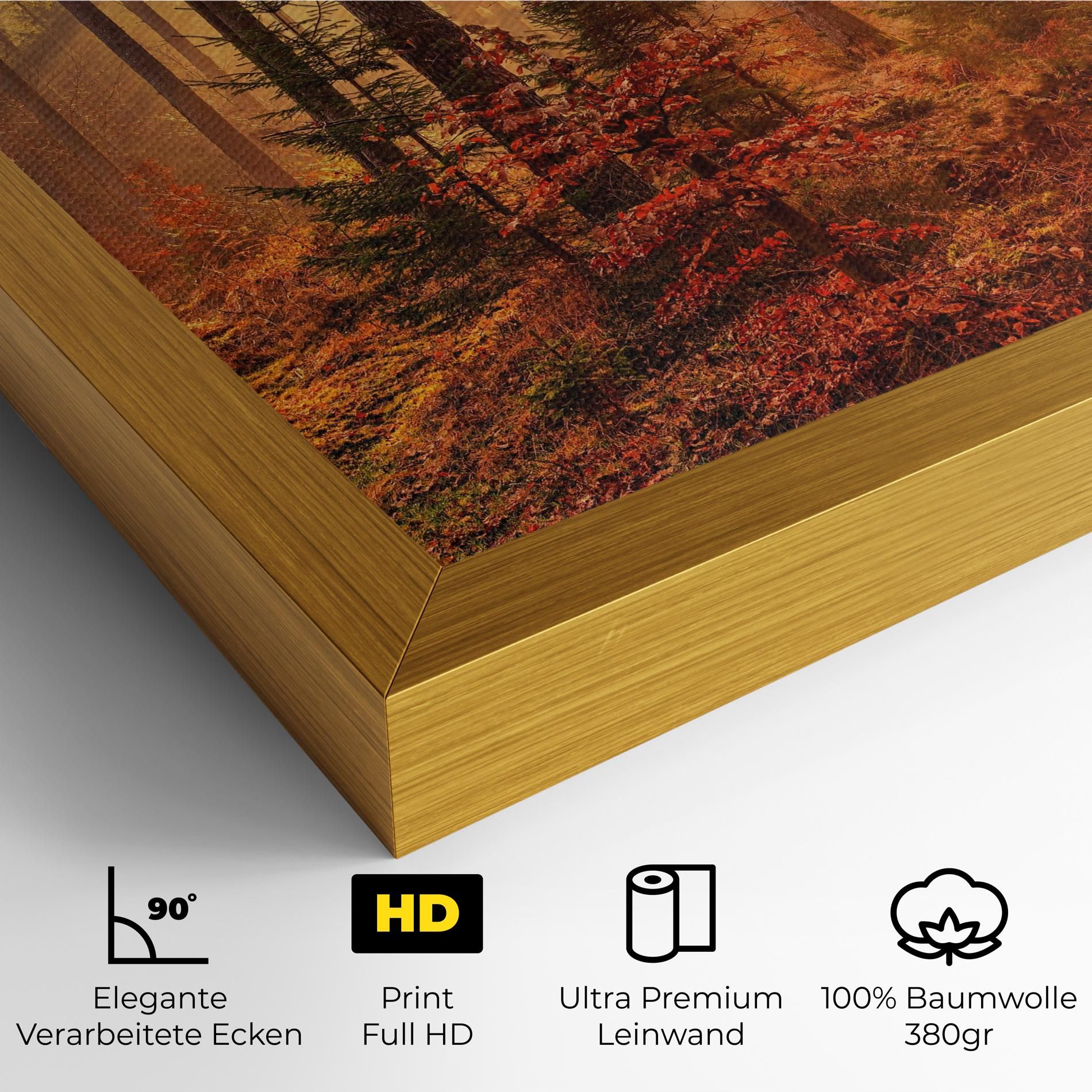 Orange Light Forest mockup 4