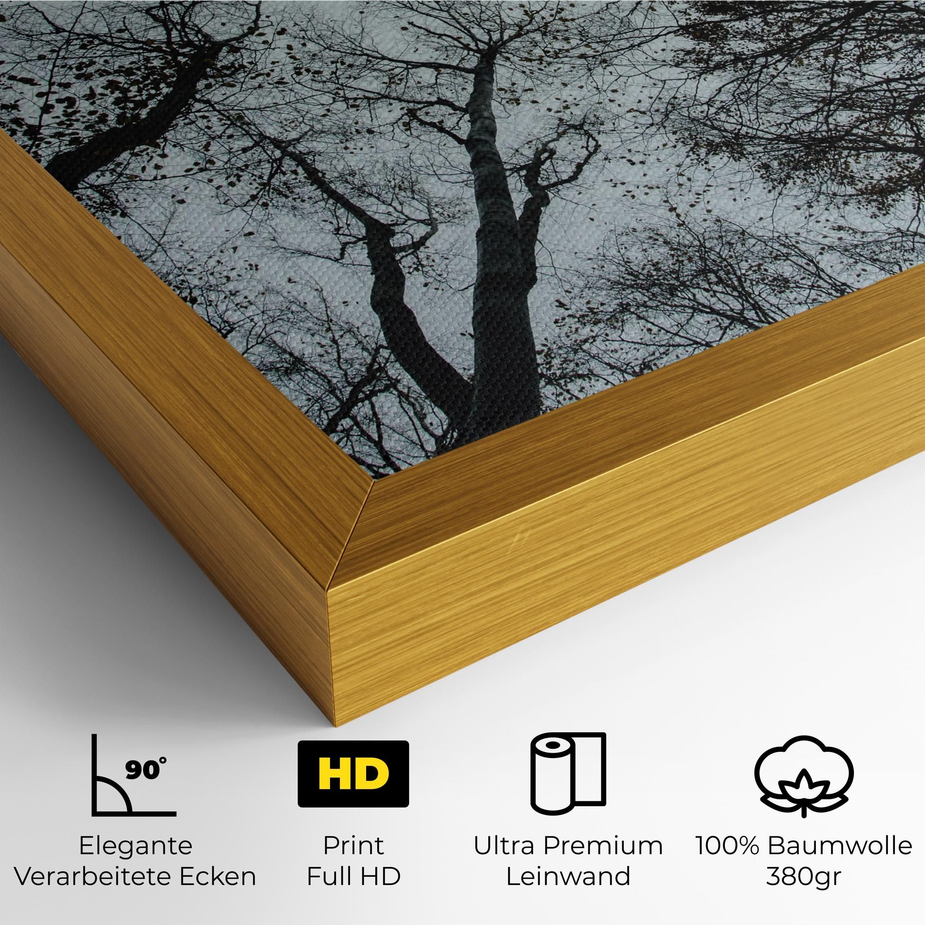 Trees Touching mockup 4