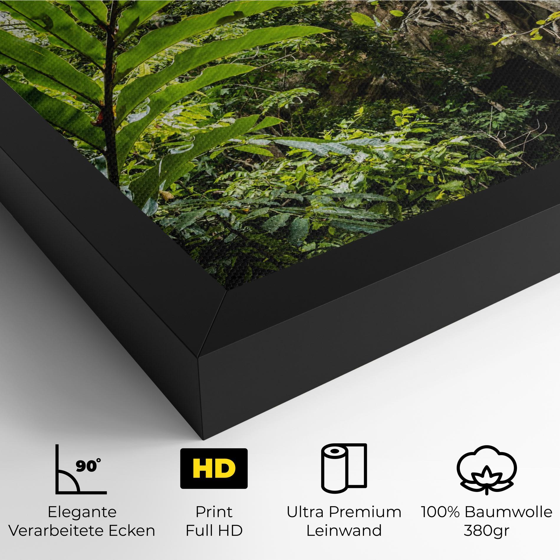 Leinwandbild Big Leaf Forest mockup 4