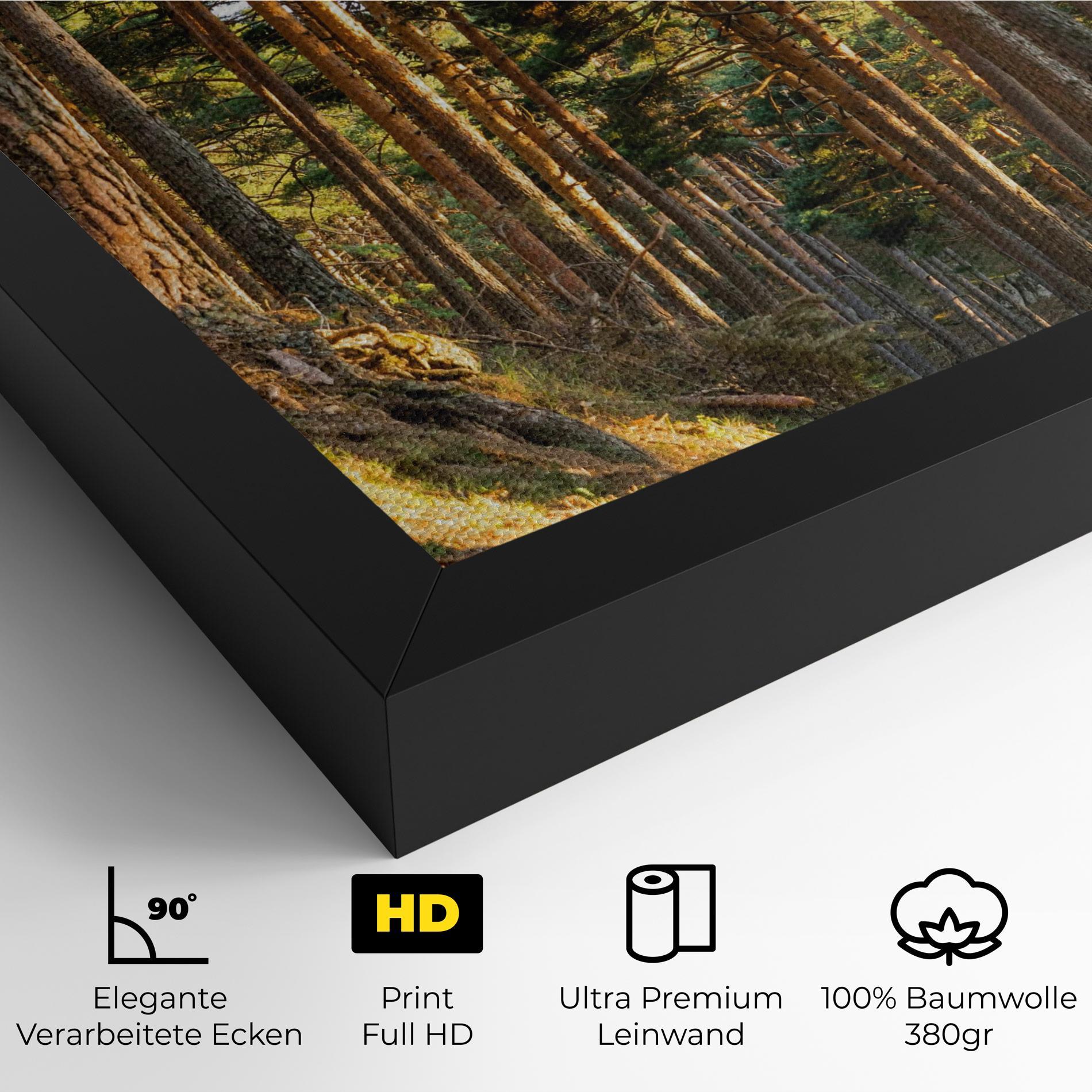 Leinwandbild Big Trees Forest mockup 4