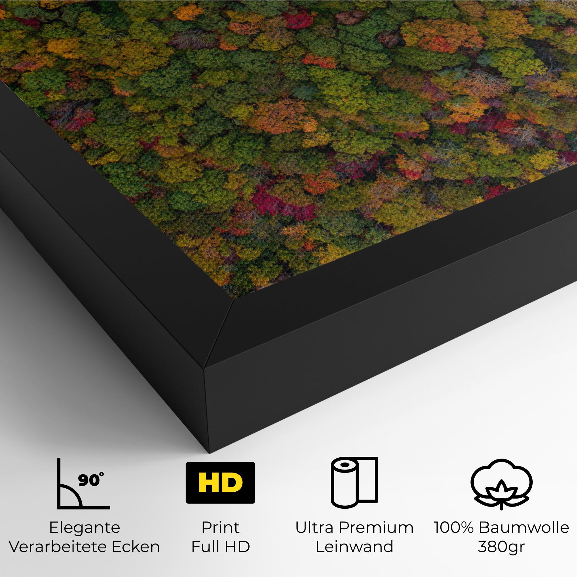 Leinwandbild Color Mix Forest mockup 4