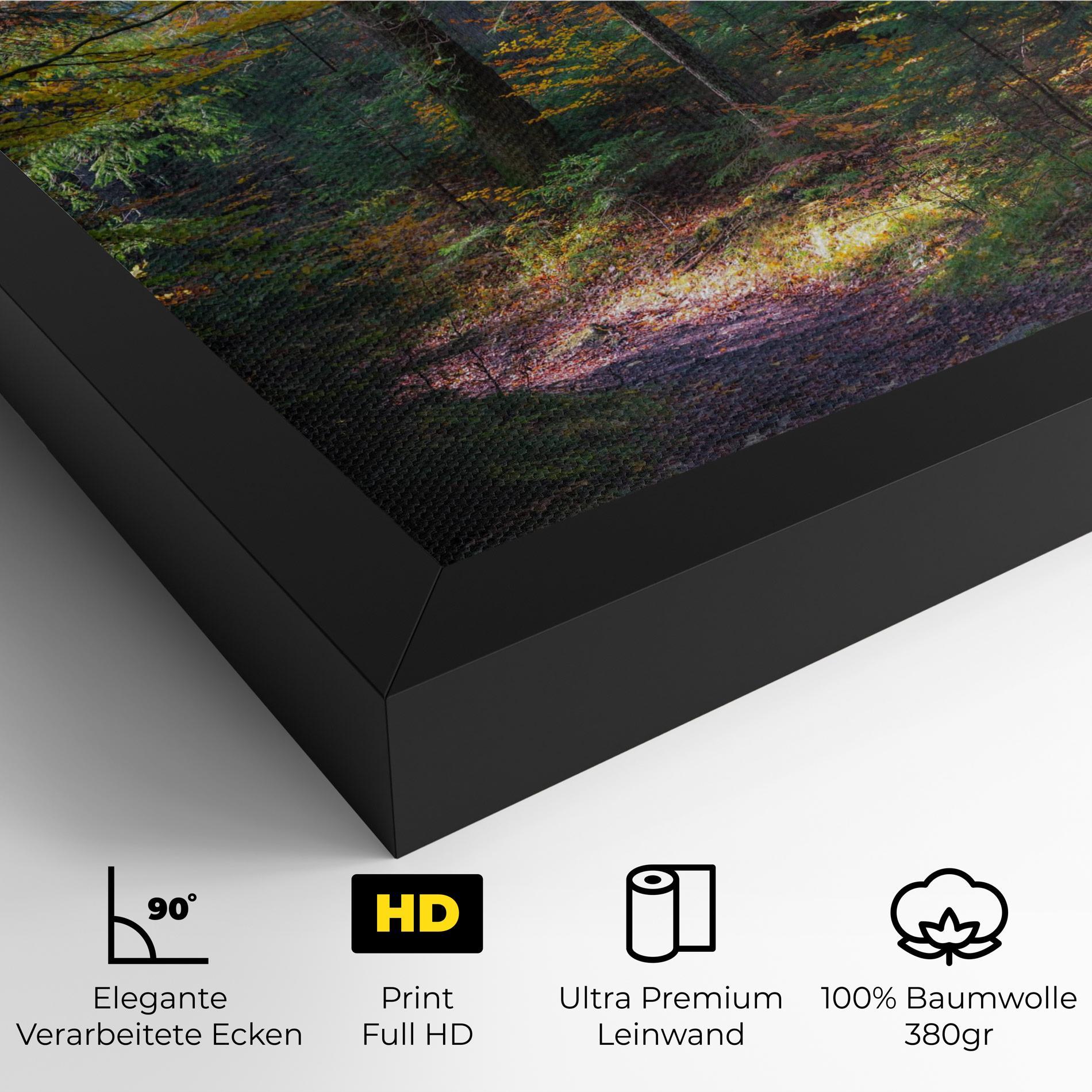 Leinwandbild Dreamy Path Dorest mockup 4