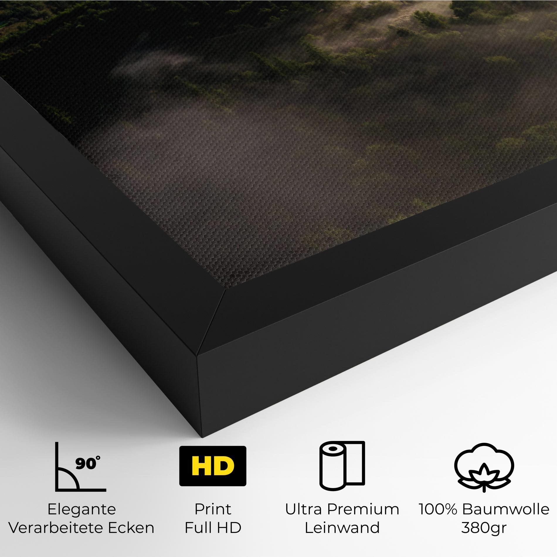 Leinwandbild Foggy Forest View mockup 4
