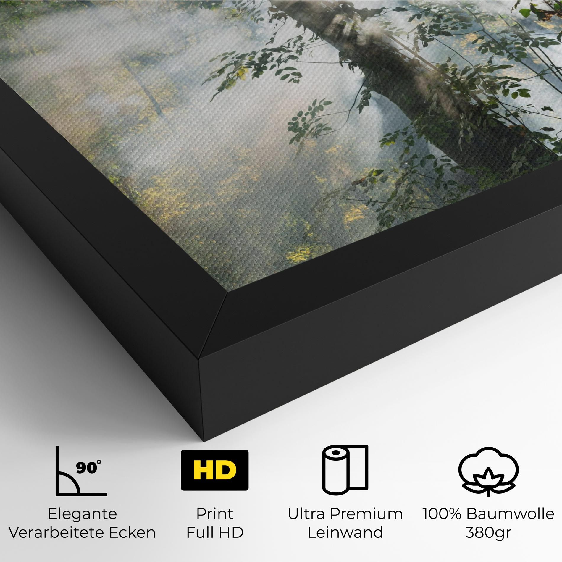 Foggy Light Forest mockup 4