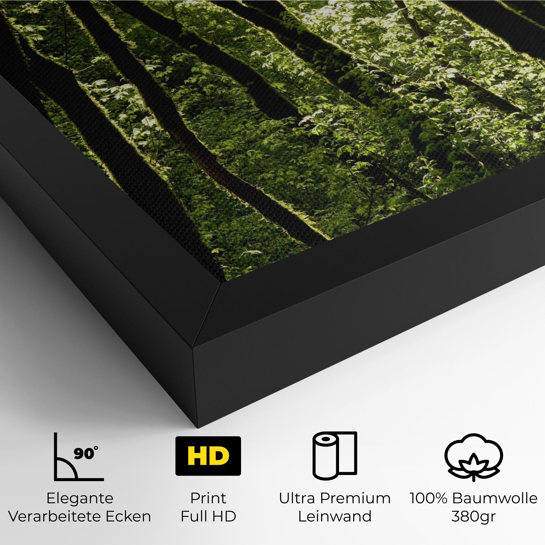 Forest Black Trees mockup 4