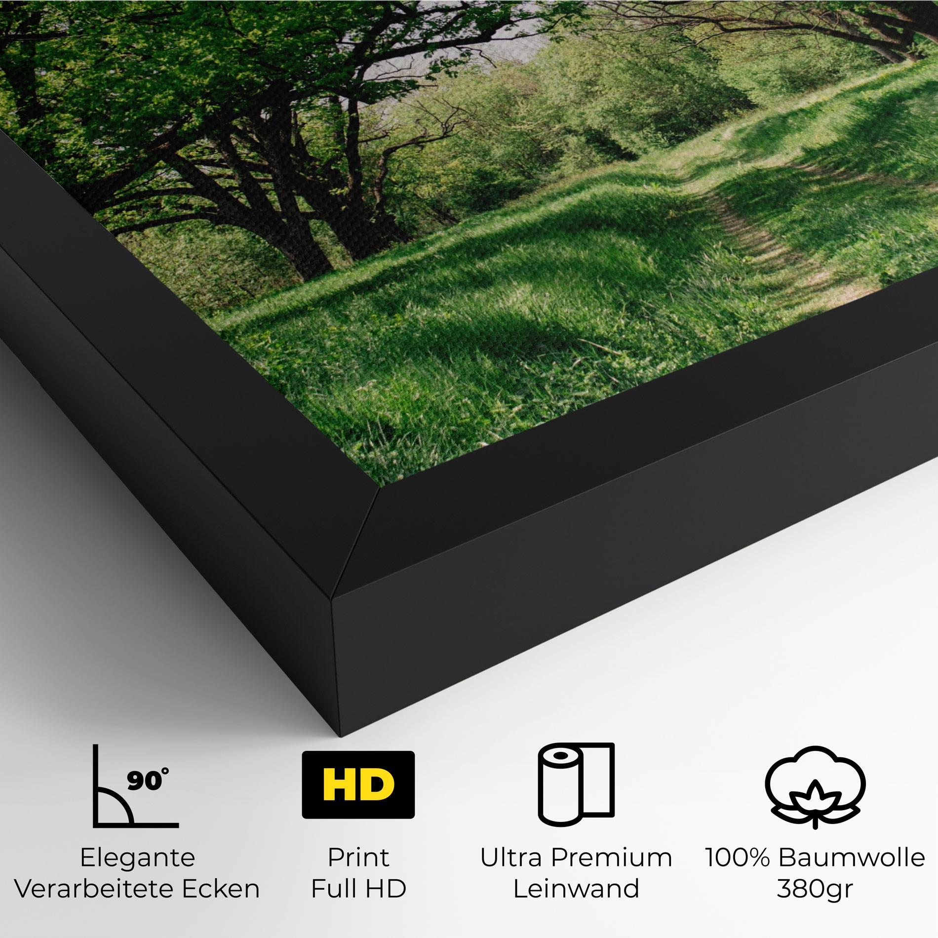 Leinwandbild Forest Green Path mockup 4