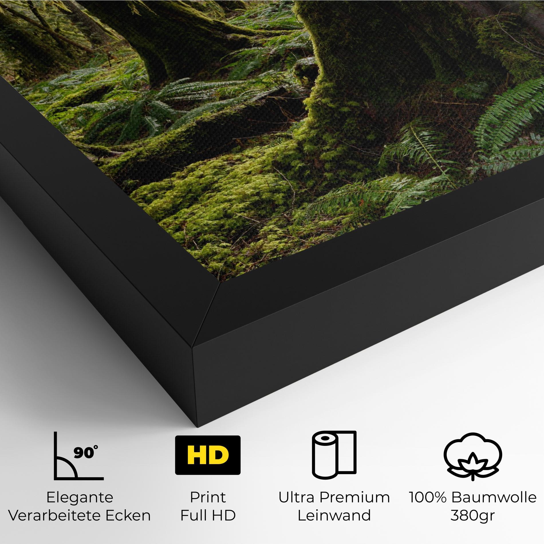 Leinwandbild Green Moss Forest mockup 4