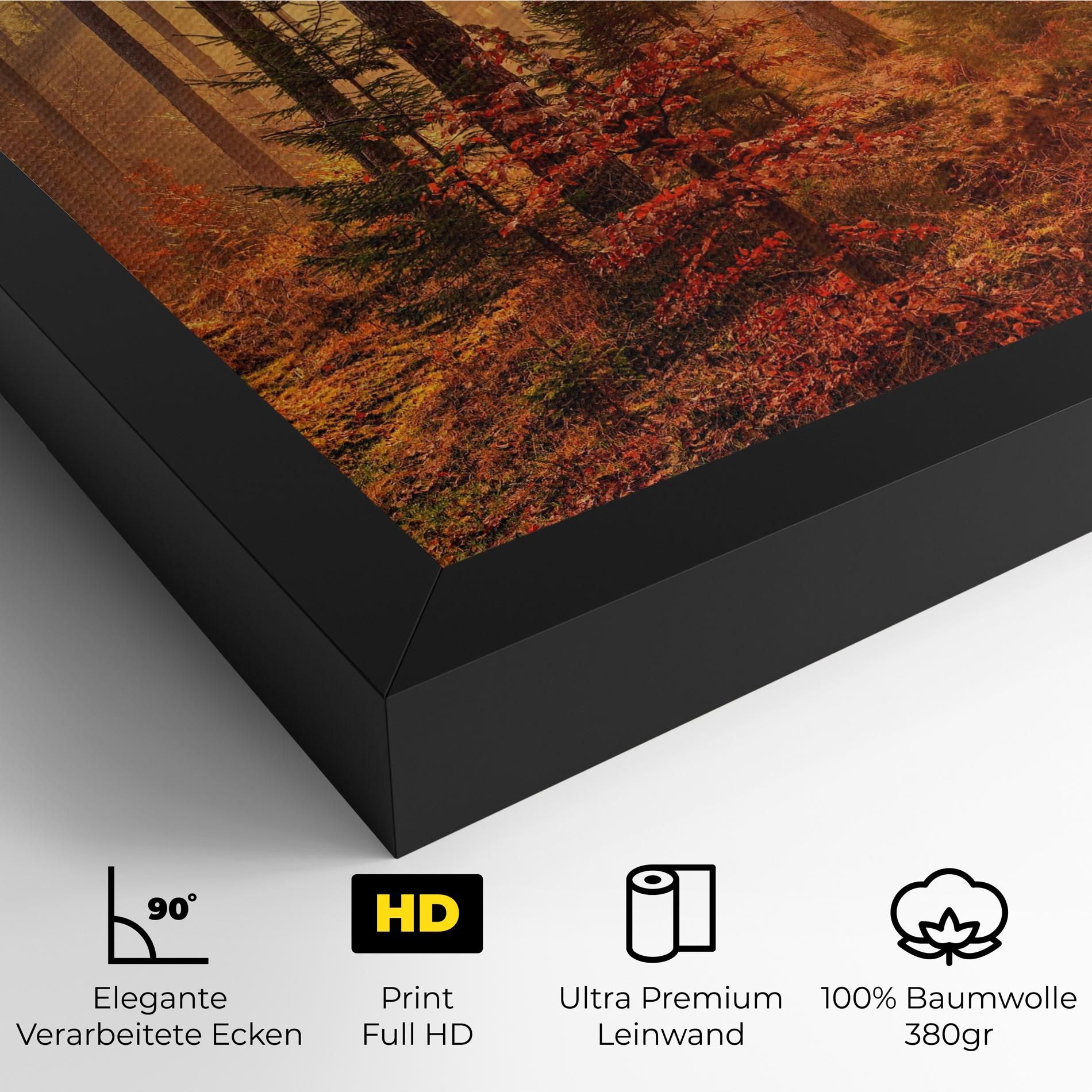 Orange Light Forest mockup 4