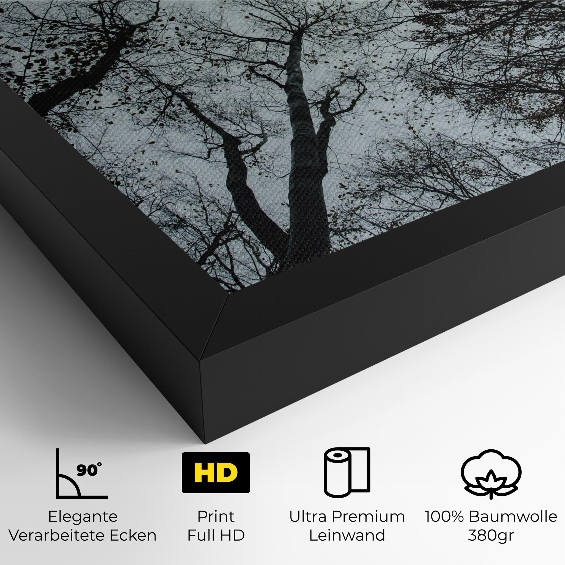 Trees Touching mockup 4