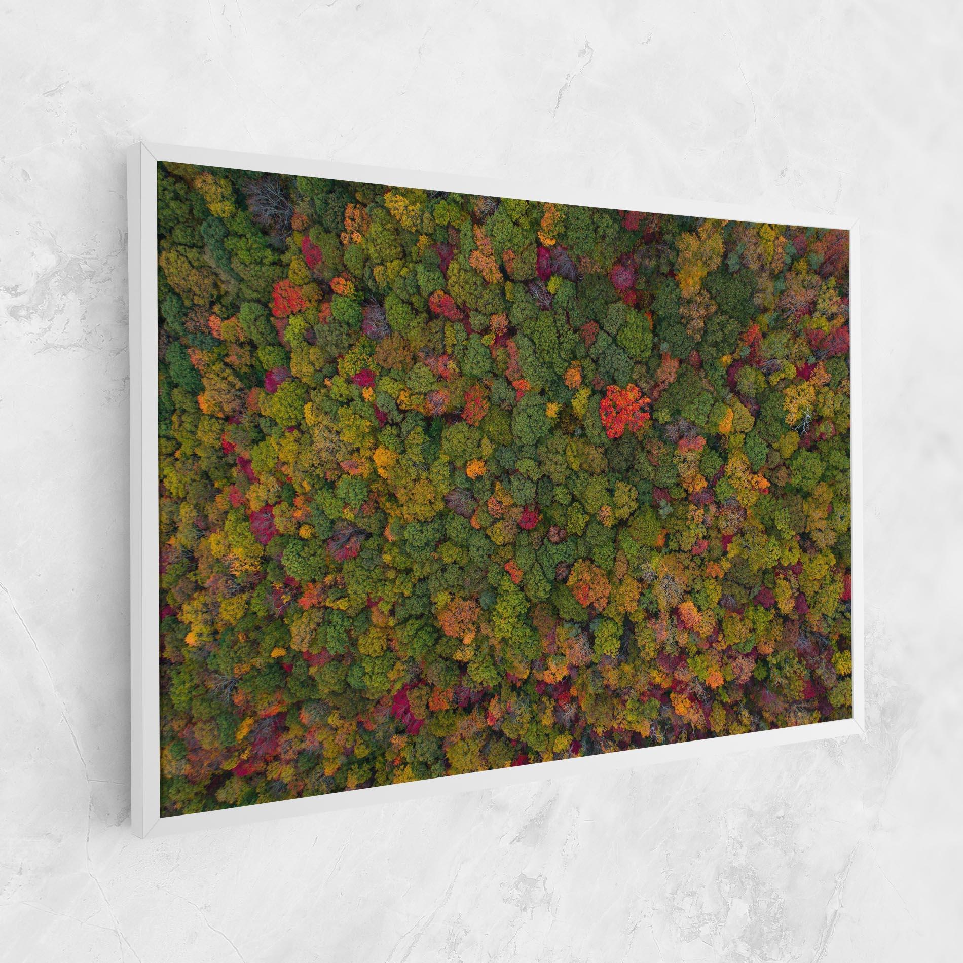 Leinwandbild Color Mix Forest mockup 1