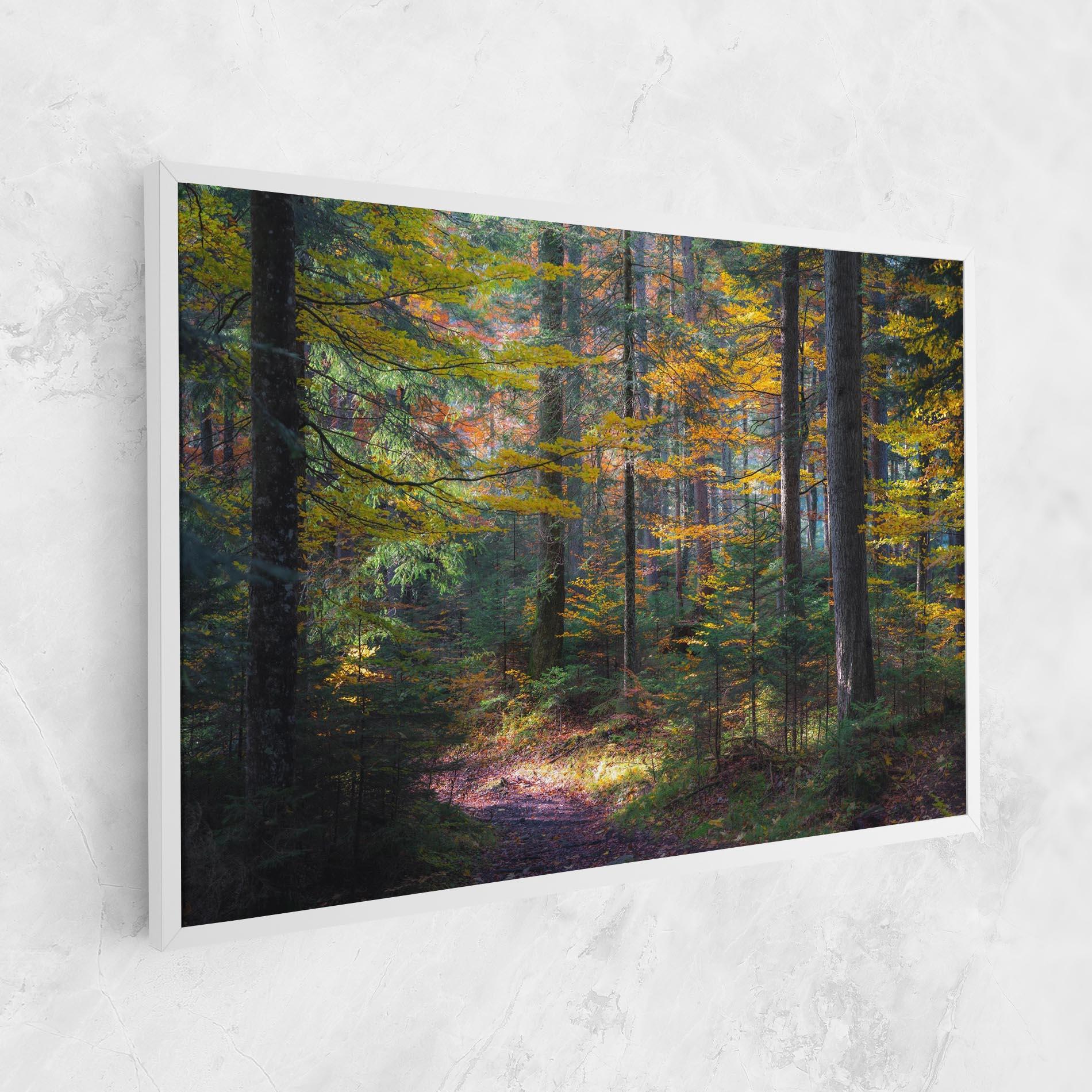 Leinwandbild Dreamy Path Dorest mockup 1