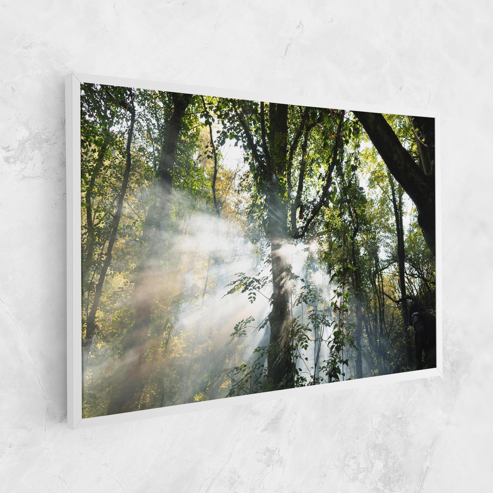 Foggy Light Forest mockup 1