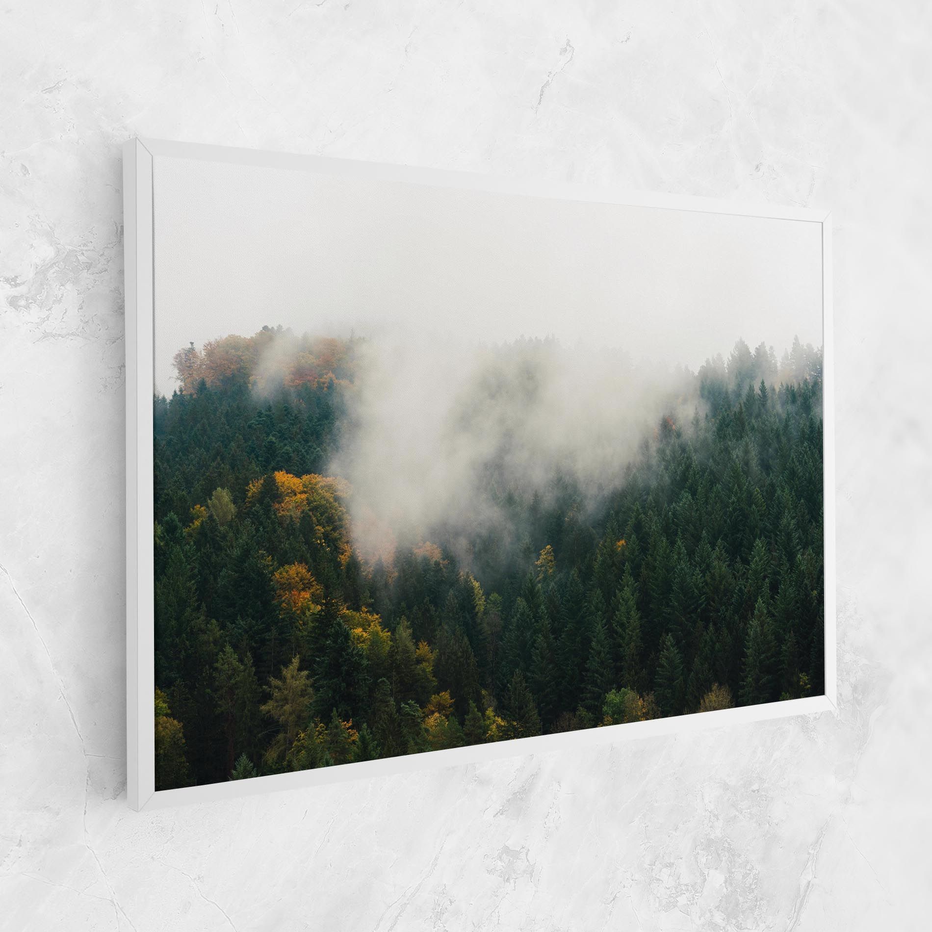 Foggy Tree Forest mockup 1