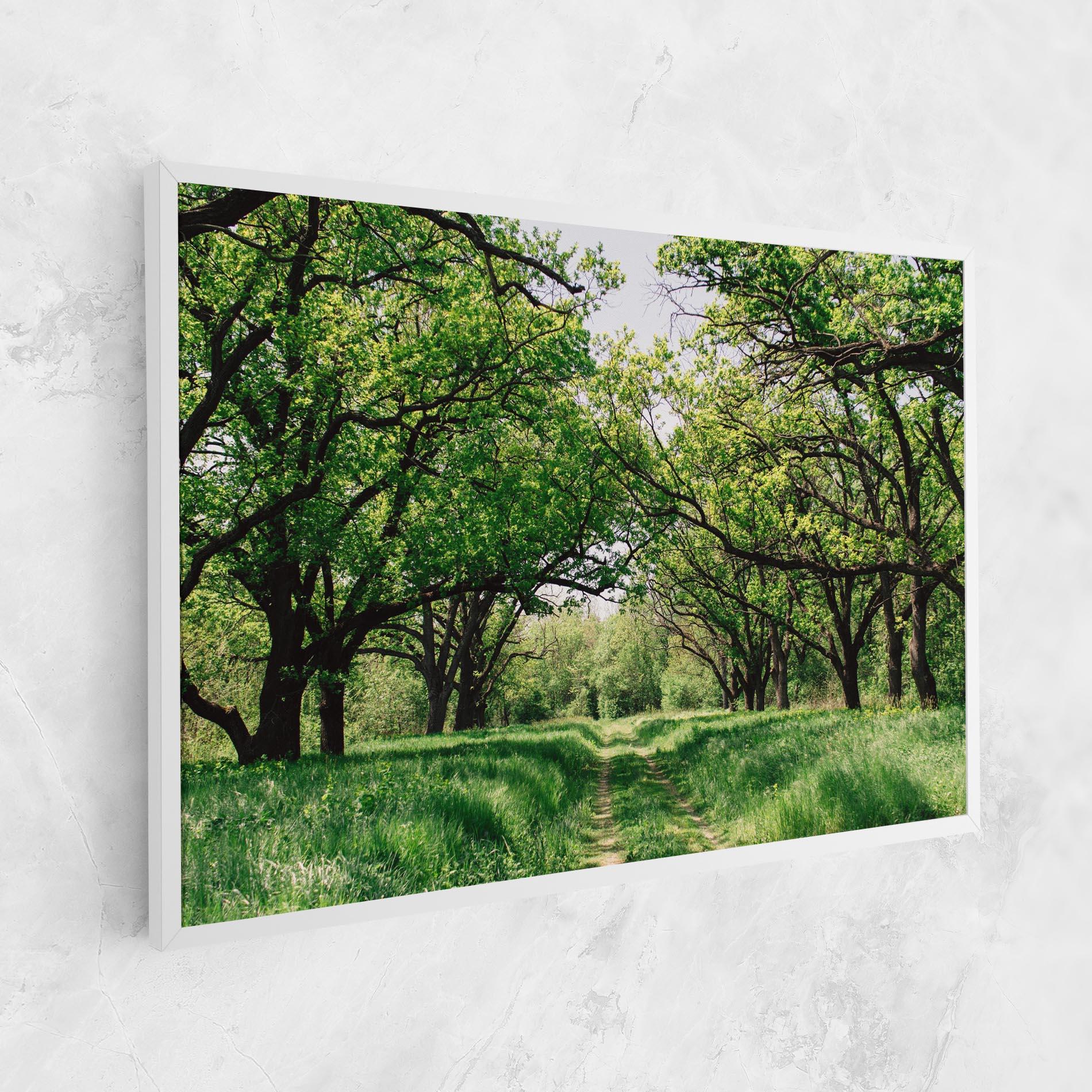 Leinwandbild Forest Green Path mockup 1