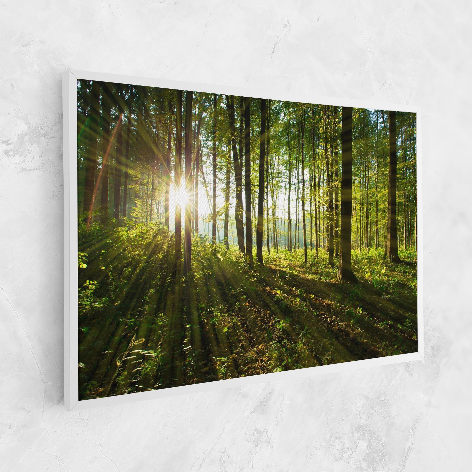 Leinwandbild Green Light Forest mockup 1