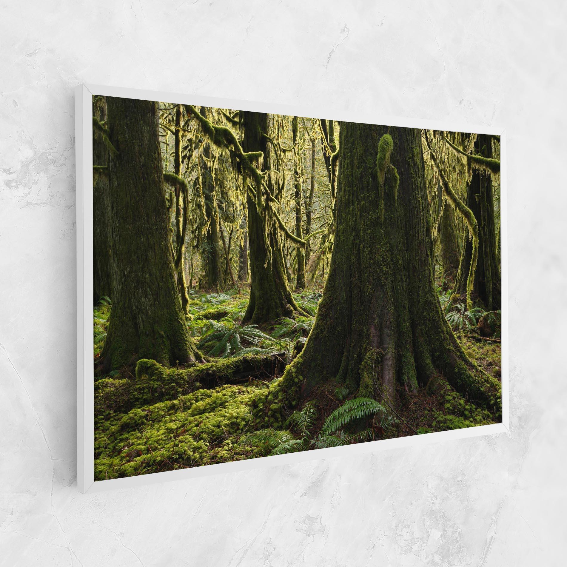 Leinwandbild Green Moss Forest mockup 1