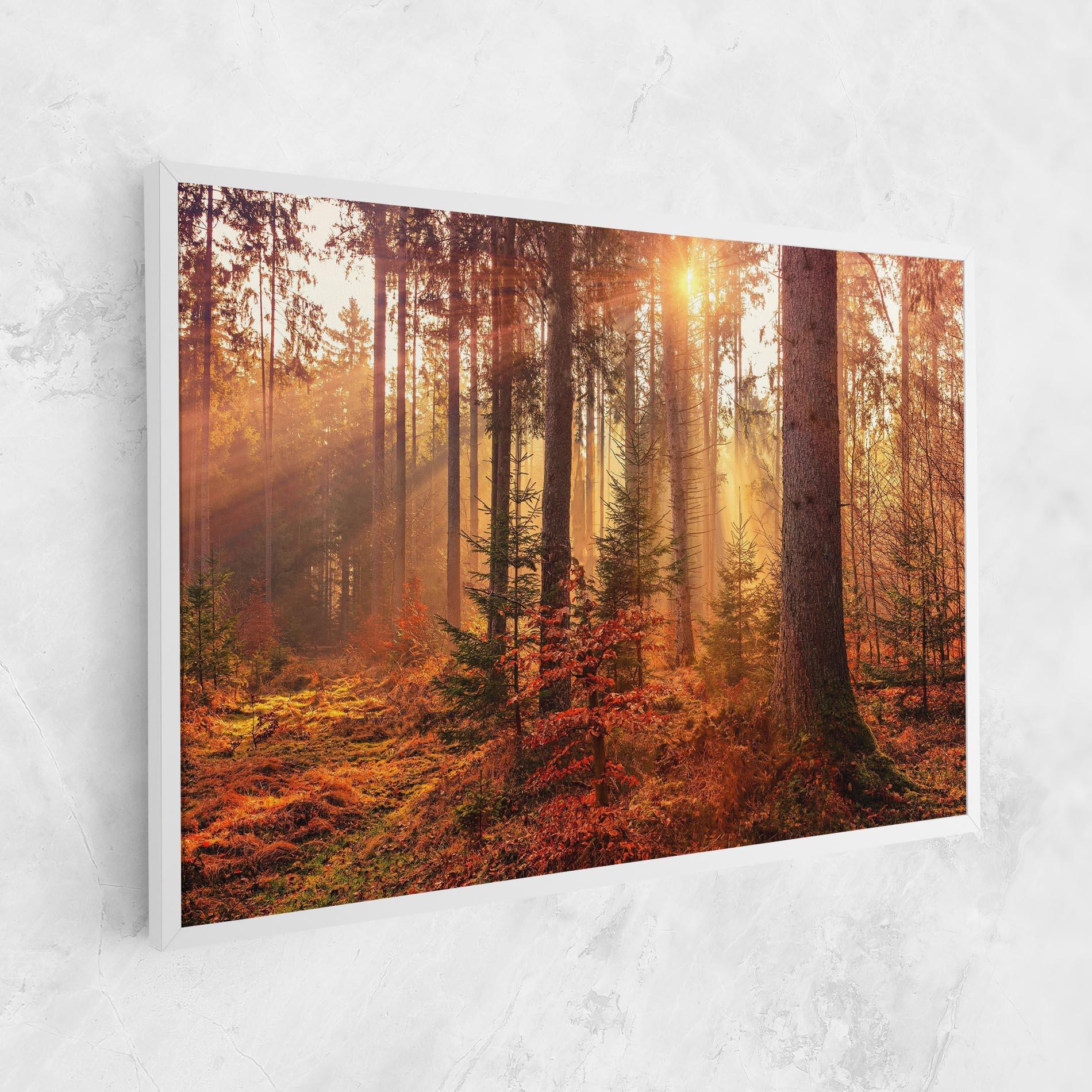 Leinwandbild Orange Light Forest mockup 1