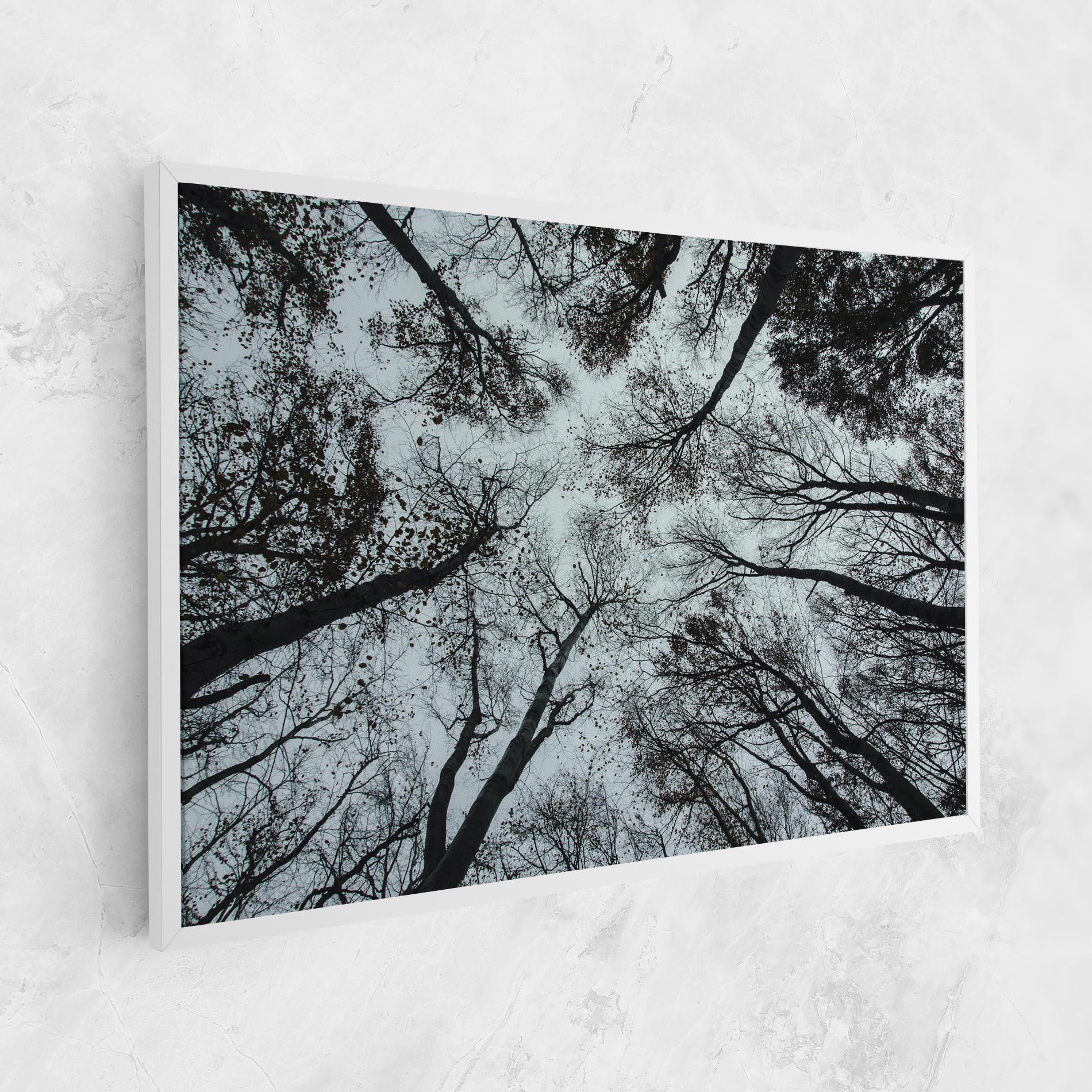 Leinwandbild Trees Touching mockup 1