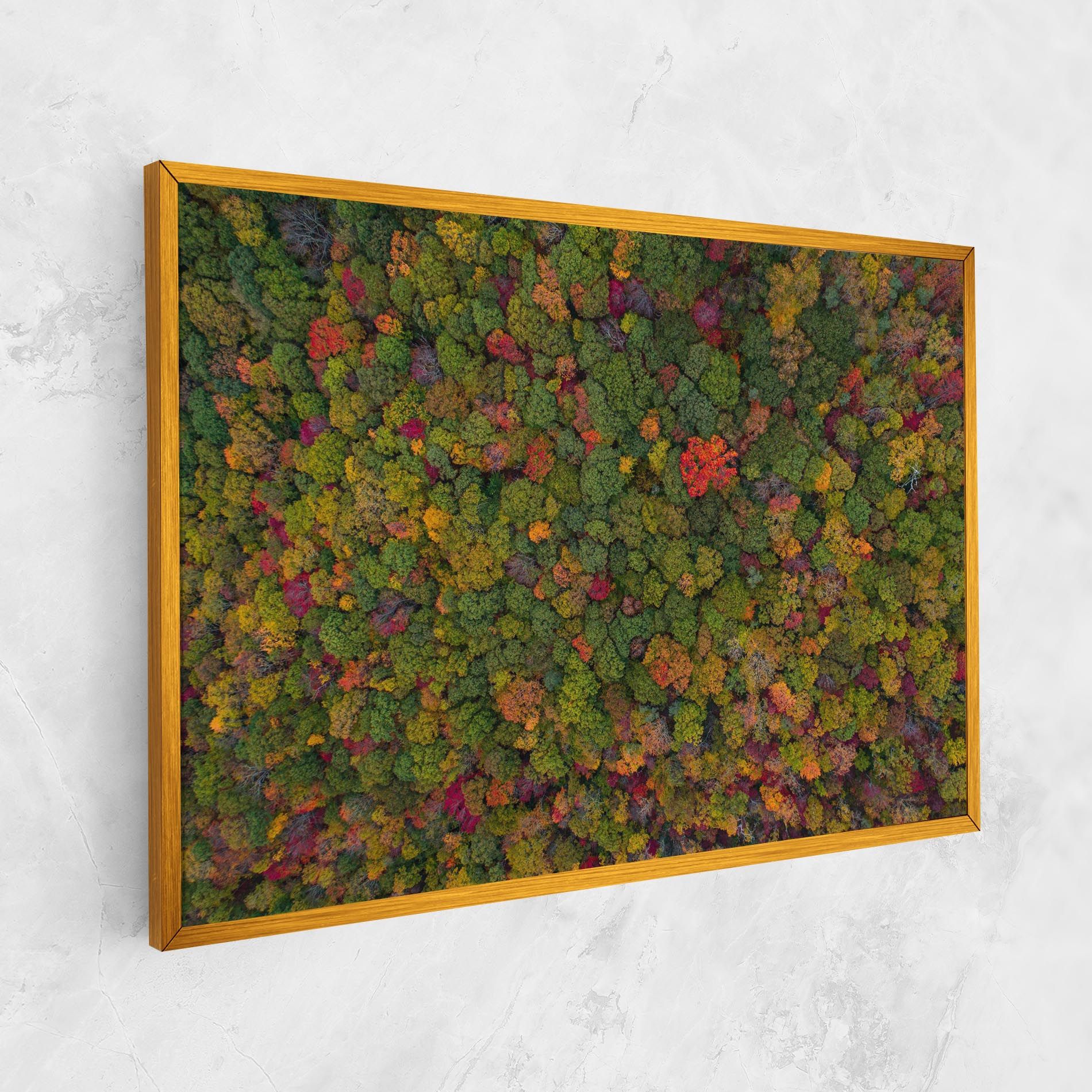 Color Mix Forest mockup 1