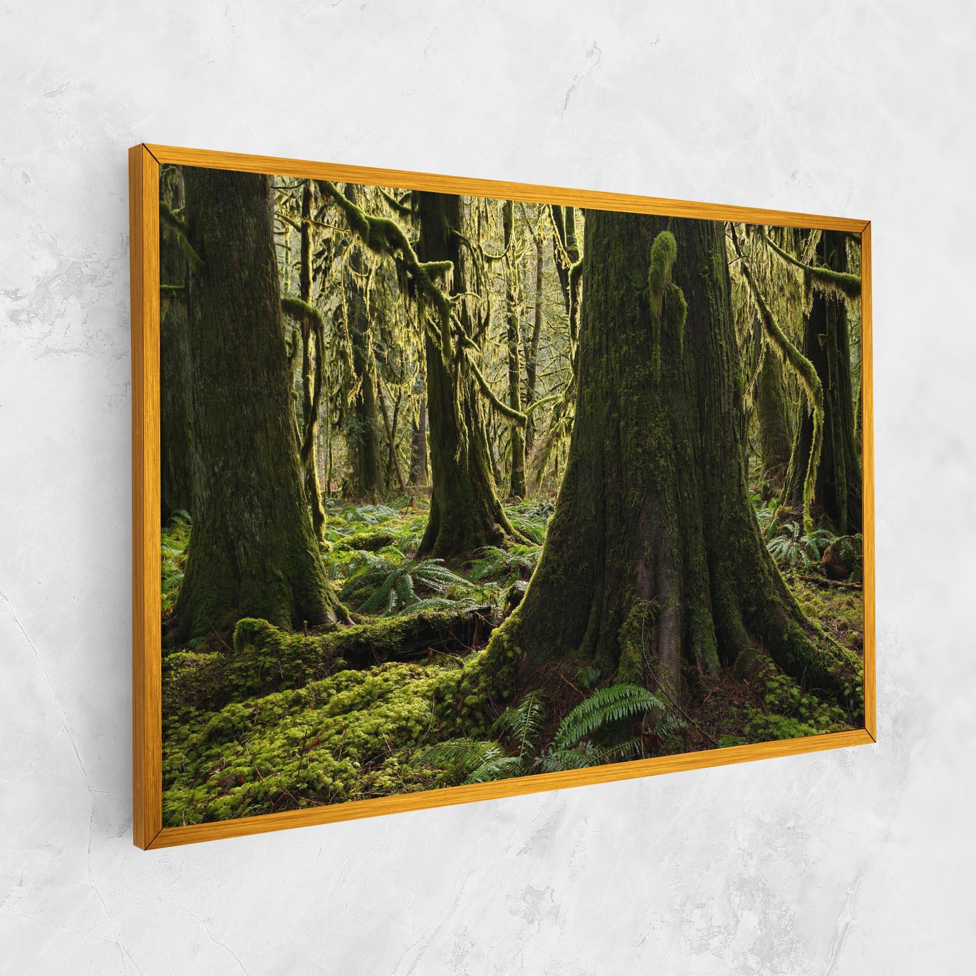 Leinwandbild Green Moss Forest mockup 1