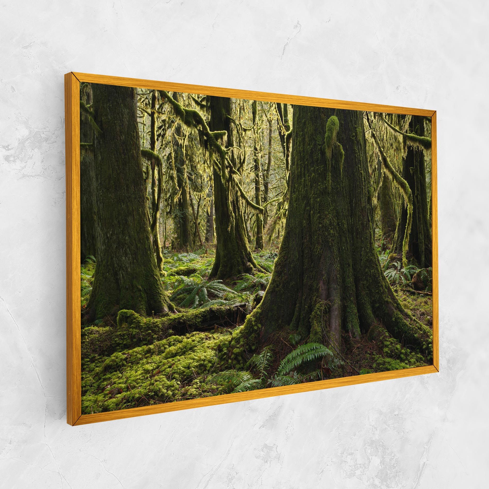 Green Moss Forest mockup 1