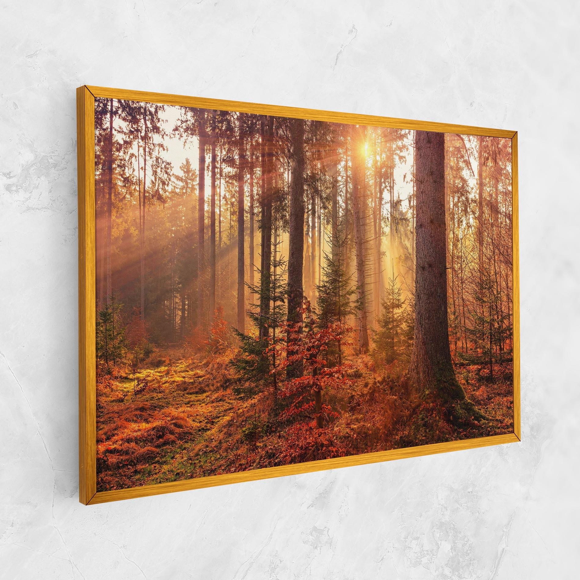 Leinwandbild Orange Light Forest mockup 1