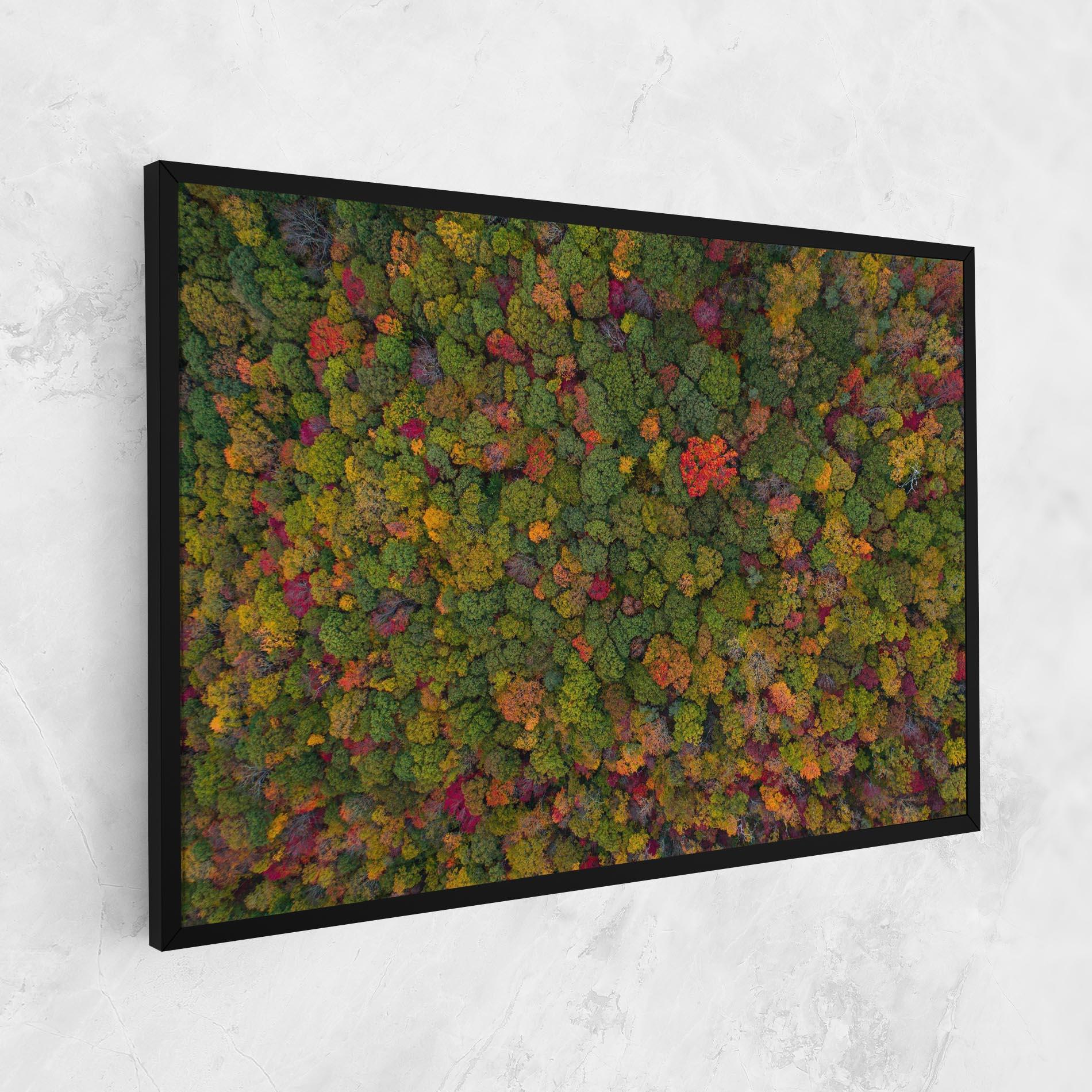 Leinwandbild Color Mix Forest mockup 1