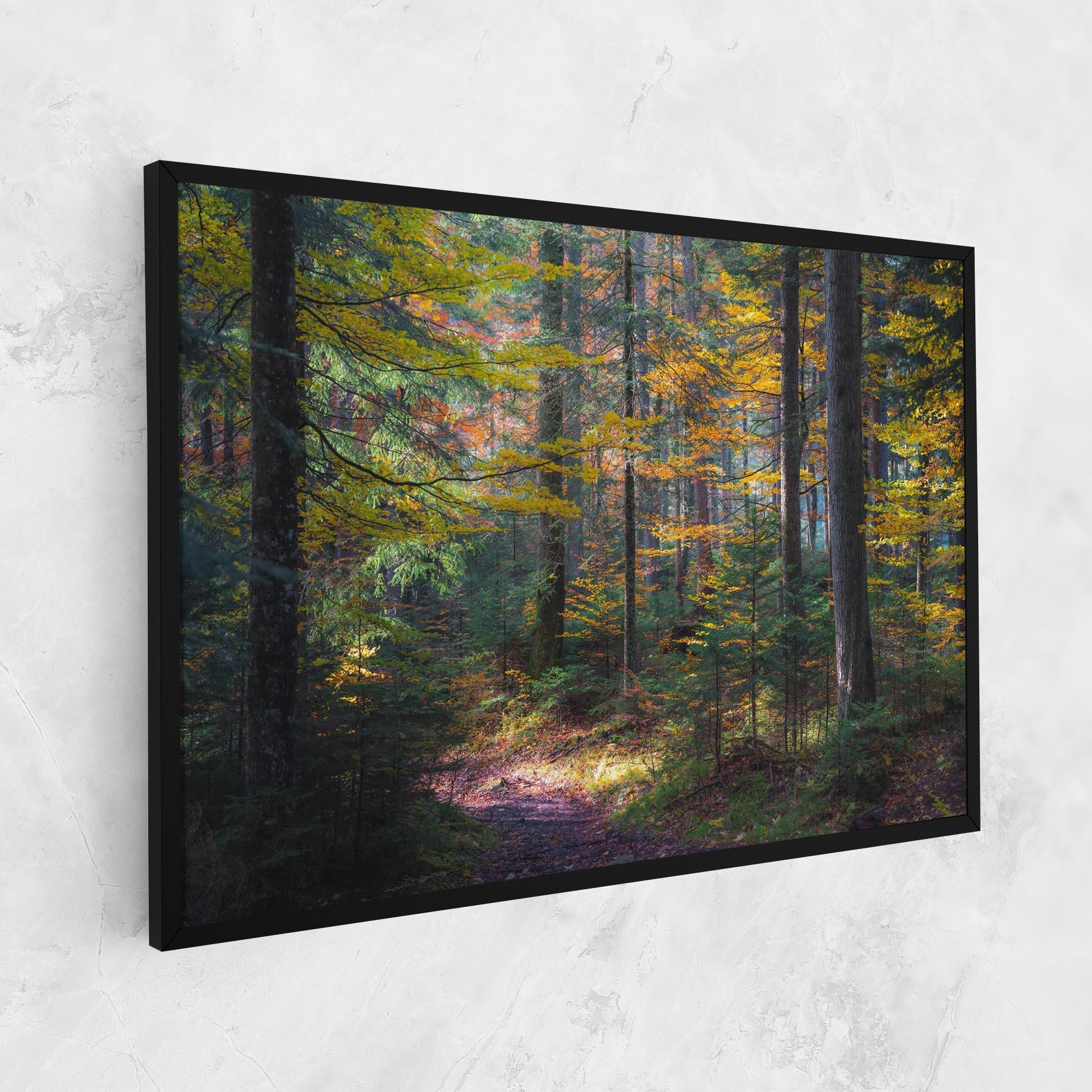 Leinwandbild Dreamy Path Dorest mockup 1