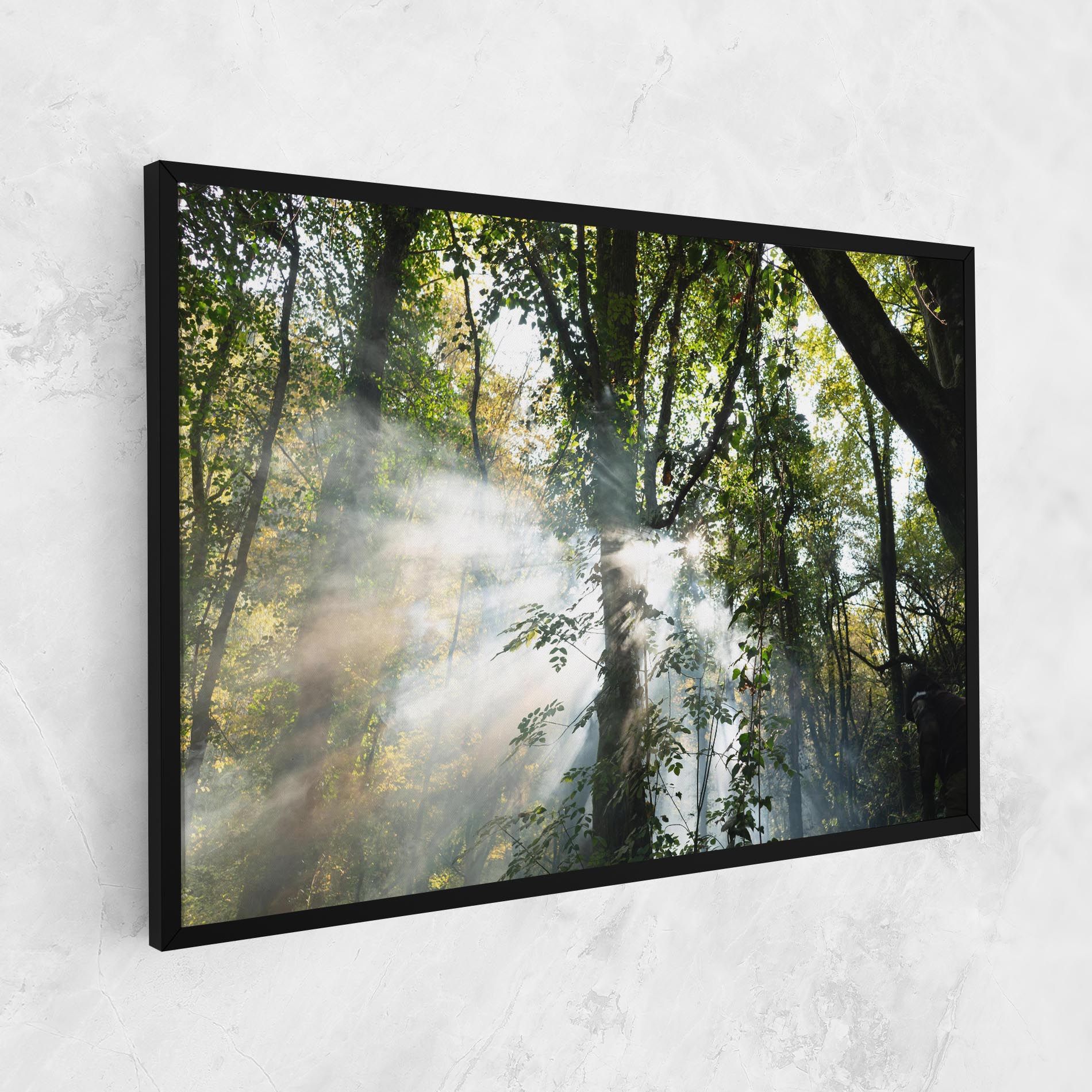Foggy Light Forest mockup 1